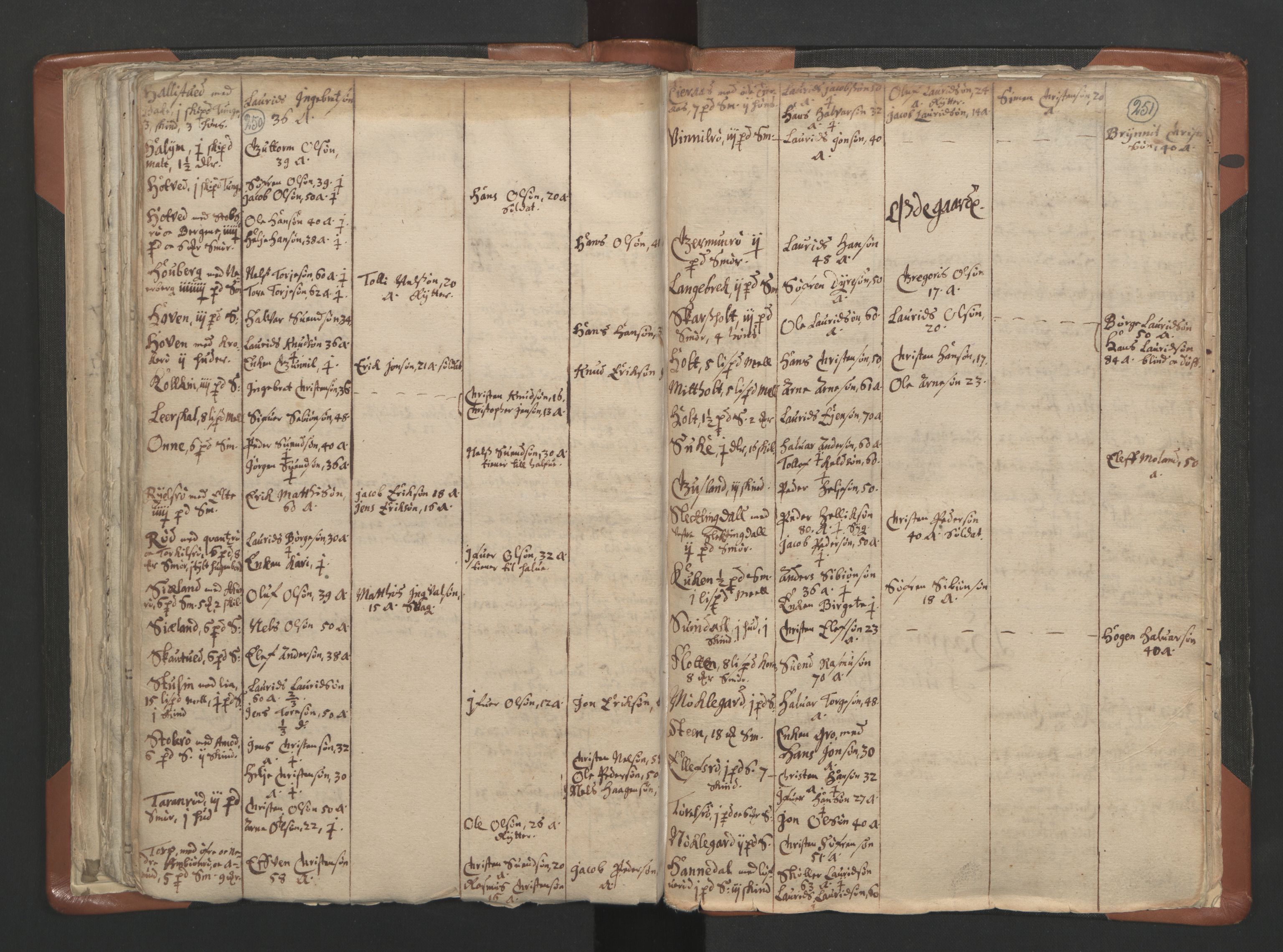 RA, Vicar's Census 1664-1666, no. 10: Tønsberg deanery, 1664-1666, p. 250-251