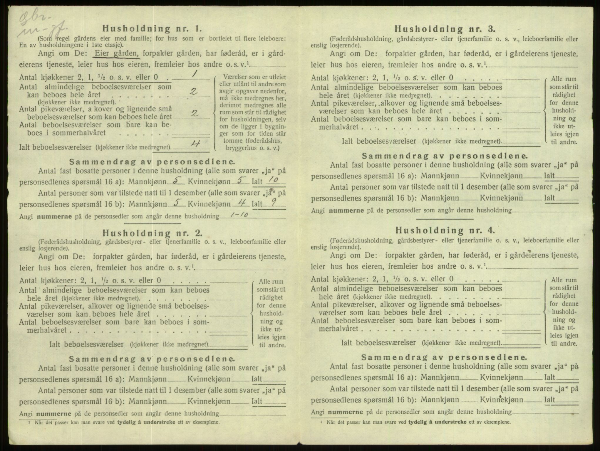 SAB, 1920 census for Hornindal, 1920, p. 308