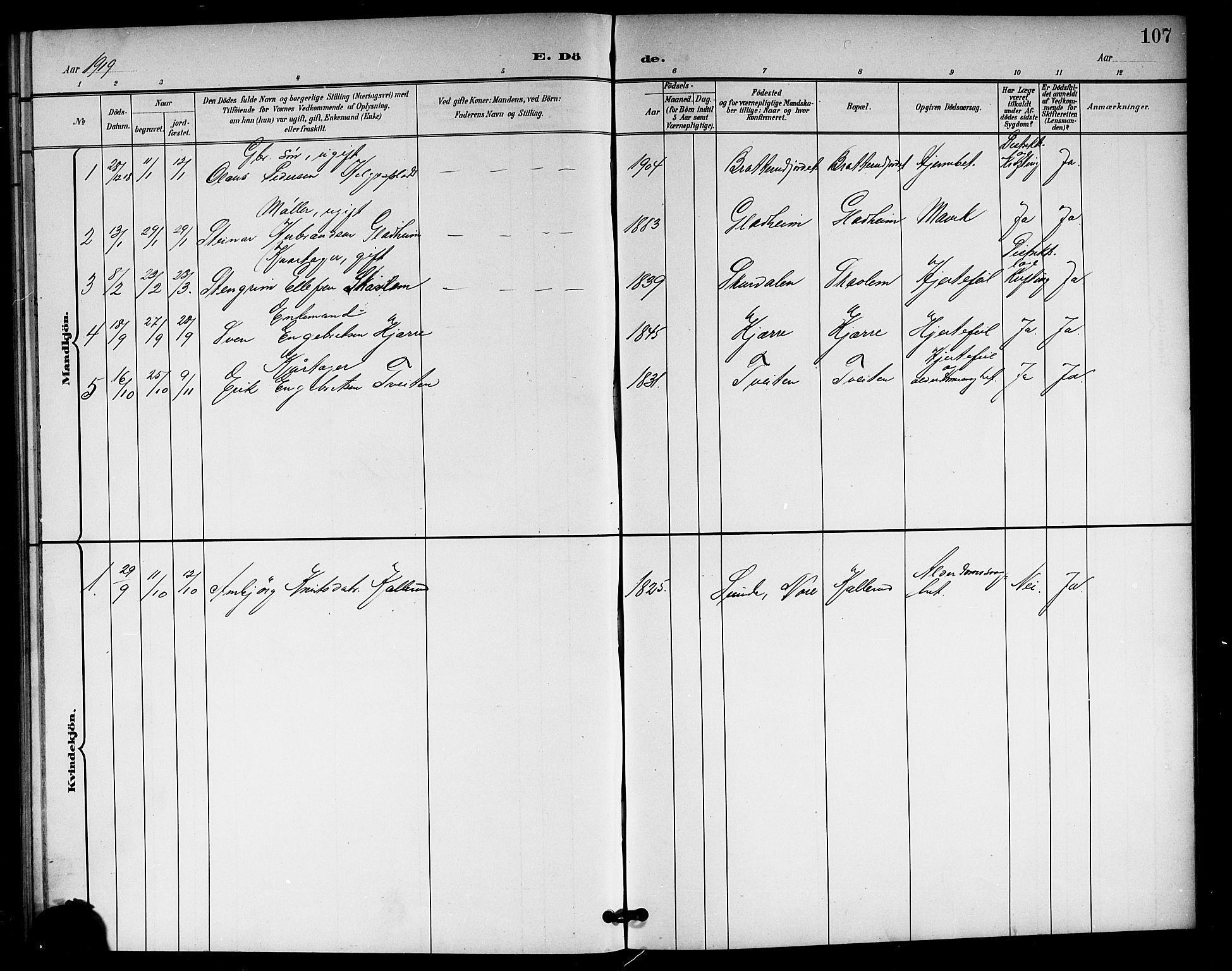 Rollag kirkebøker, SAKO/A-240/G/Gb/L0003: Parish register (copy) no. II 3, 1897-1919, p. 107
