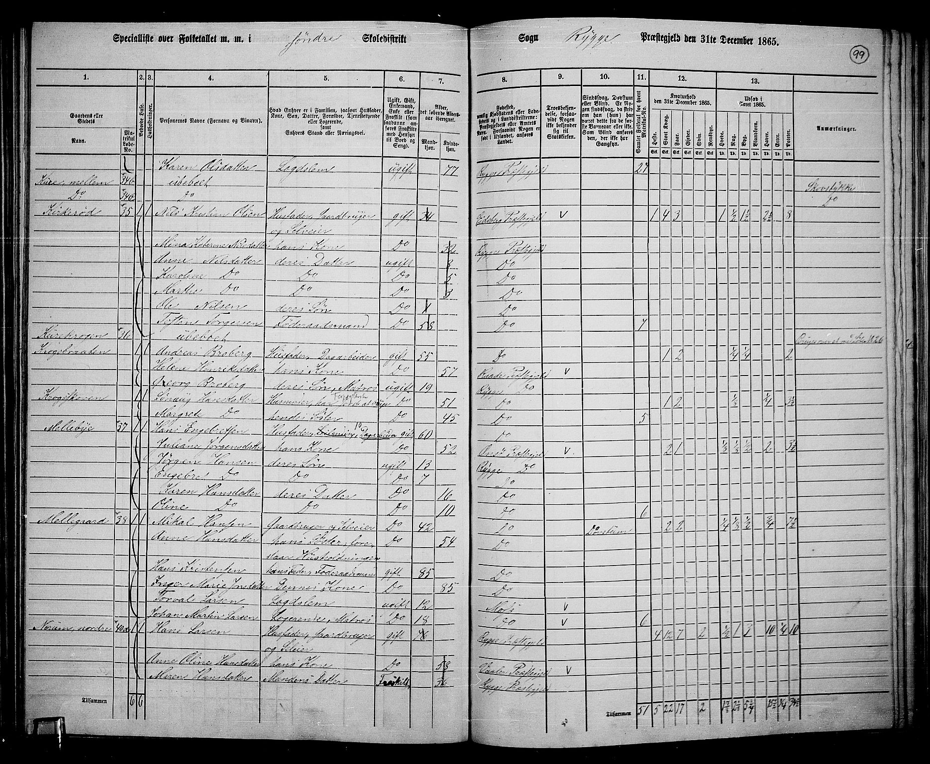 RA, 1865 census for Rygge, 1865, p. 42