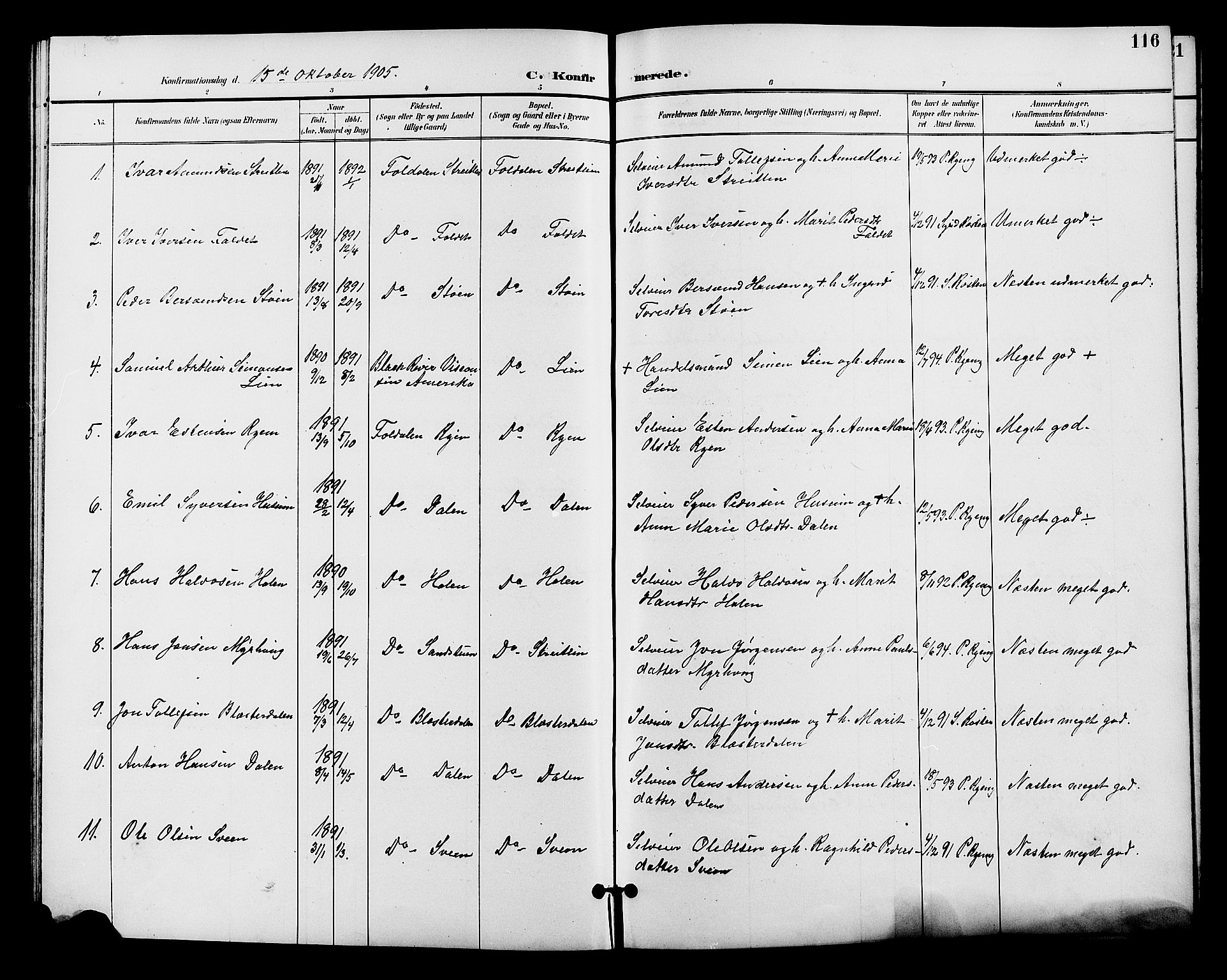 Alvdal prestekontor, SAH/PREST-060/H/Ha/Hab/L0004: Parish register (copy) no. 4, 1894-1910, p. 116