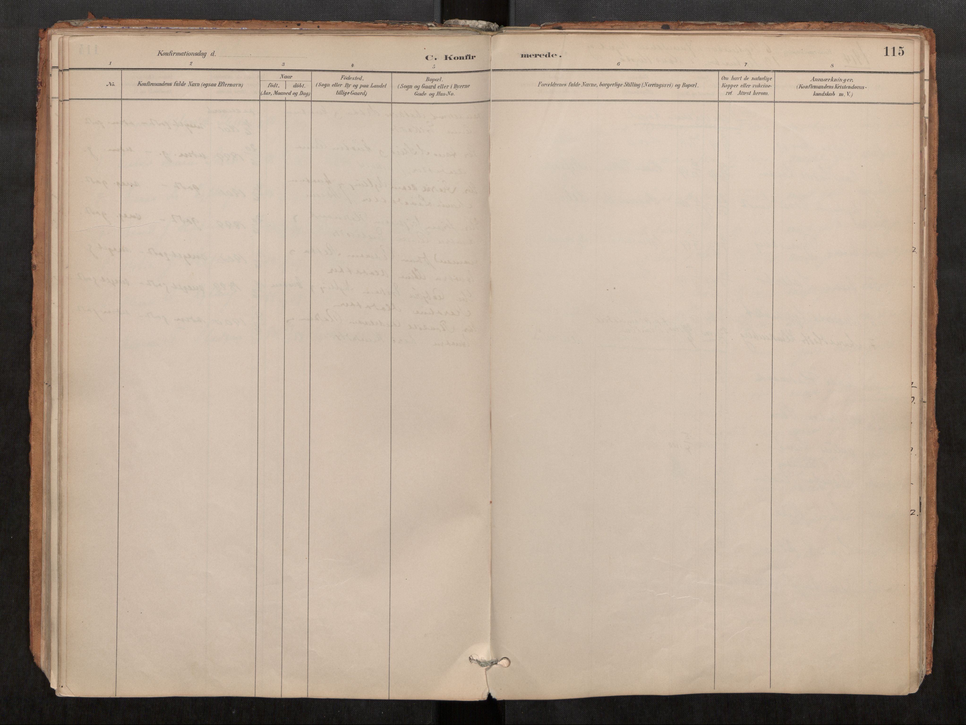 Ministerialprotokoller, klokkerbøker og fødselsregistre - Møre og Romsdal, AV/SAT-A-1454/546/L0599: Parish register (official) no. 546A03, 1882-1920, p. 115