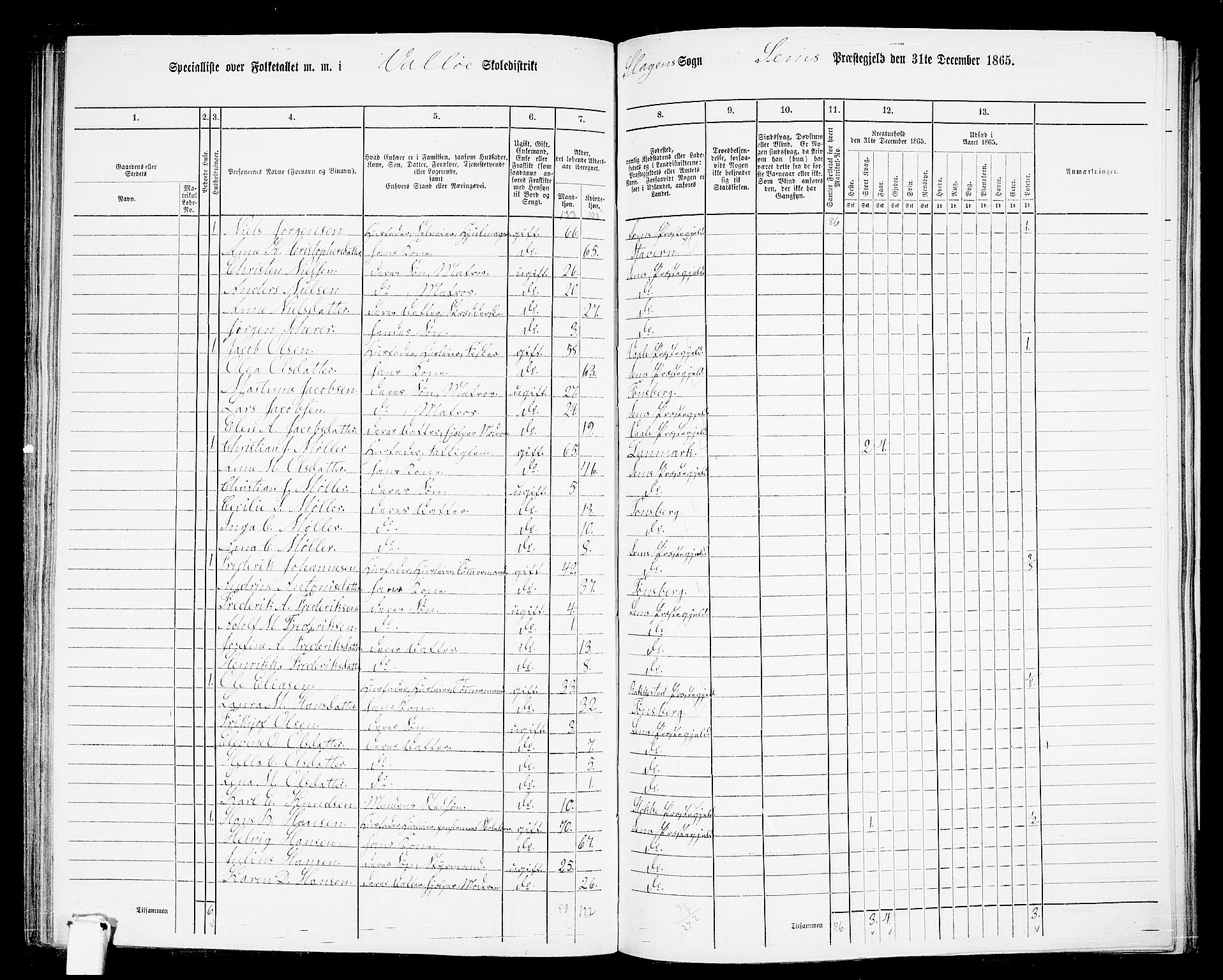 RA, 1865 census for Sem, 1865, p. 163