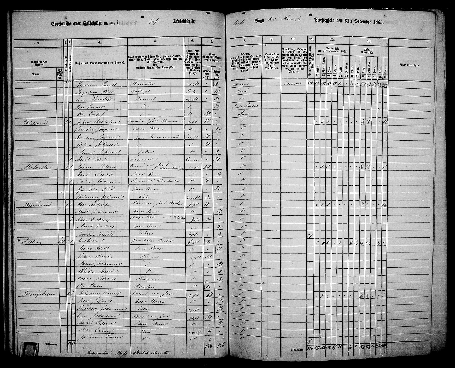 RA, 1865 census for Land, 1865, p. 325