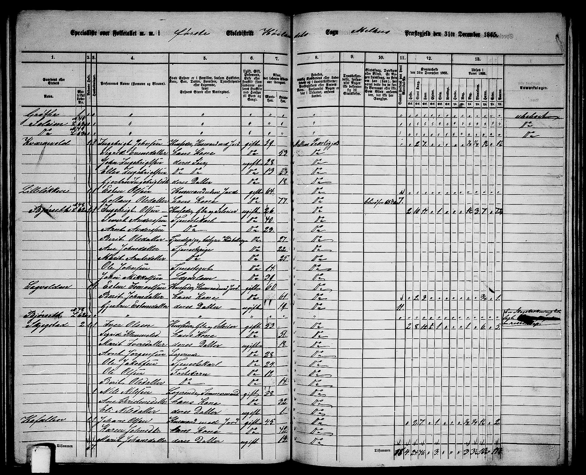 RA, 1865 census for Melhus, 1865, p. 156