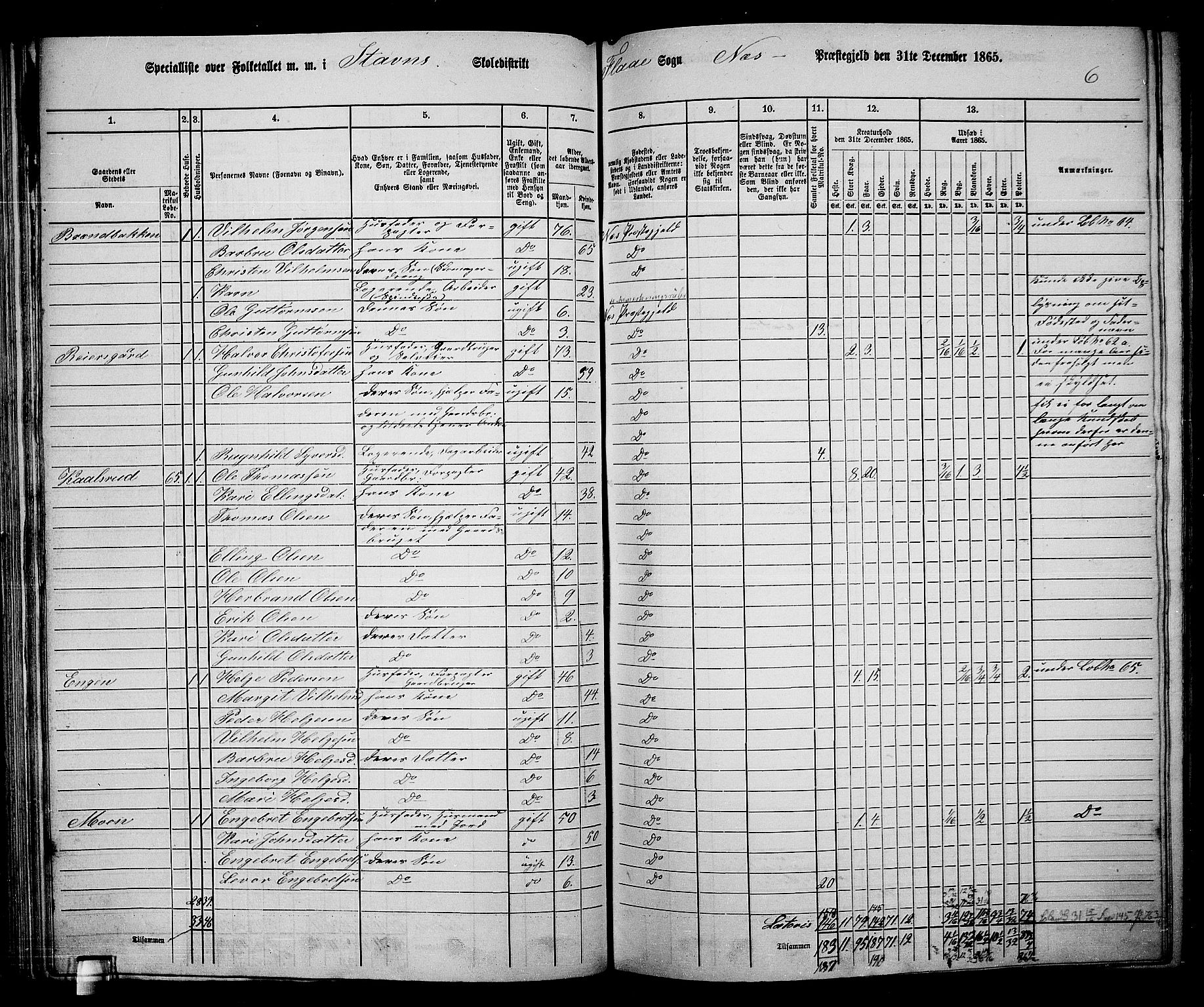 RA, 1865 census for Nes, 1865, p. 84