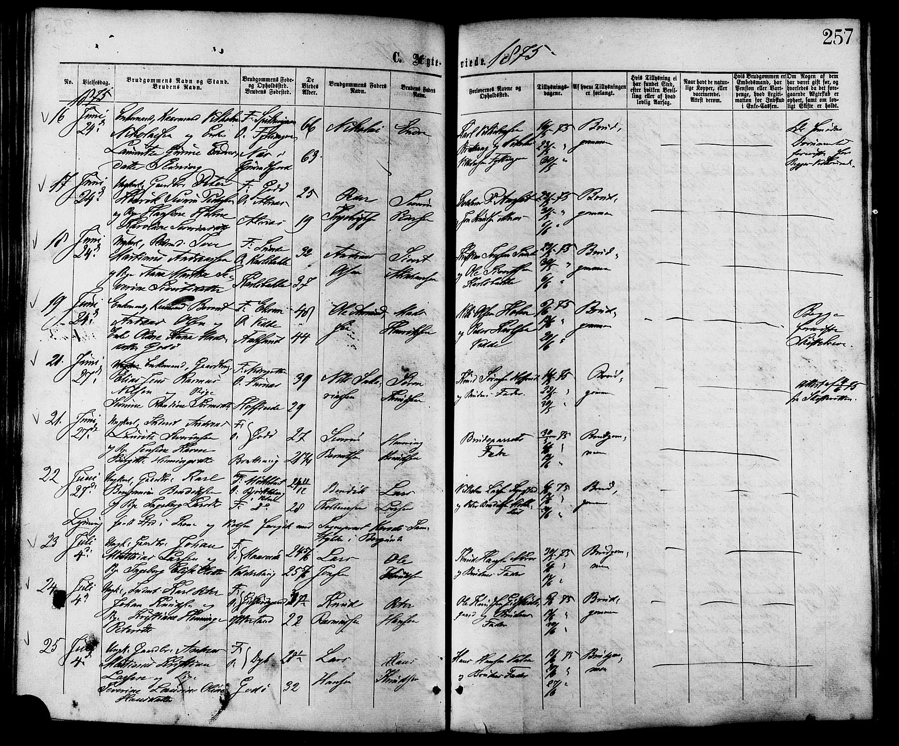 Ministerialprotokoller, klokkerbøker og fødselsregistre - Møre og Romsdal, AV/SAT-A-1454/528/L0399: Parish register (official) no. 528A10, 1864-1879, p. 257