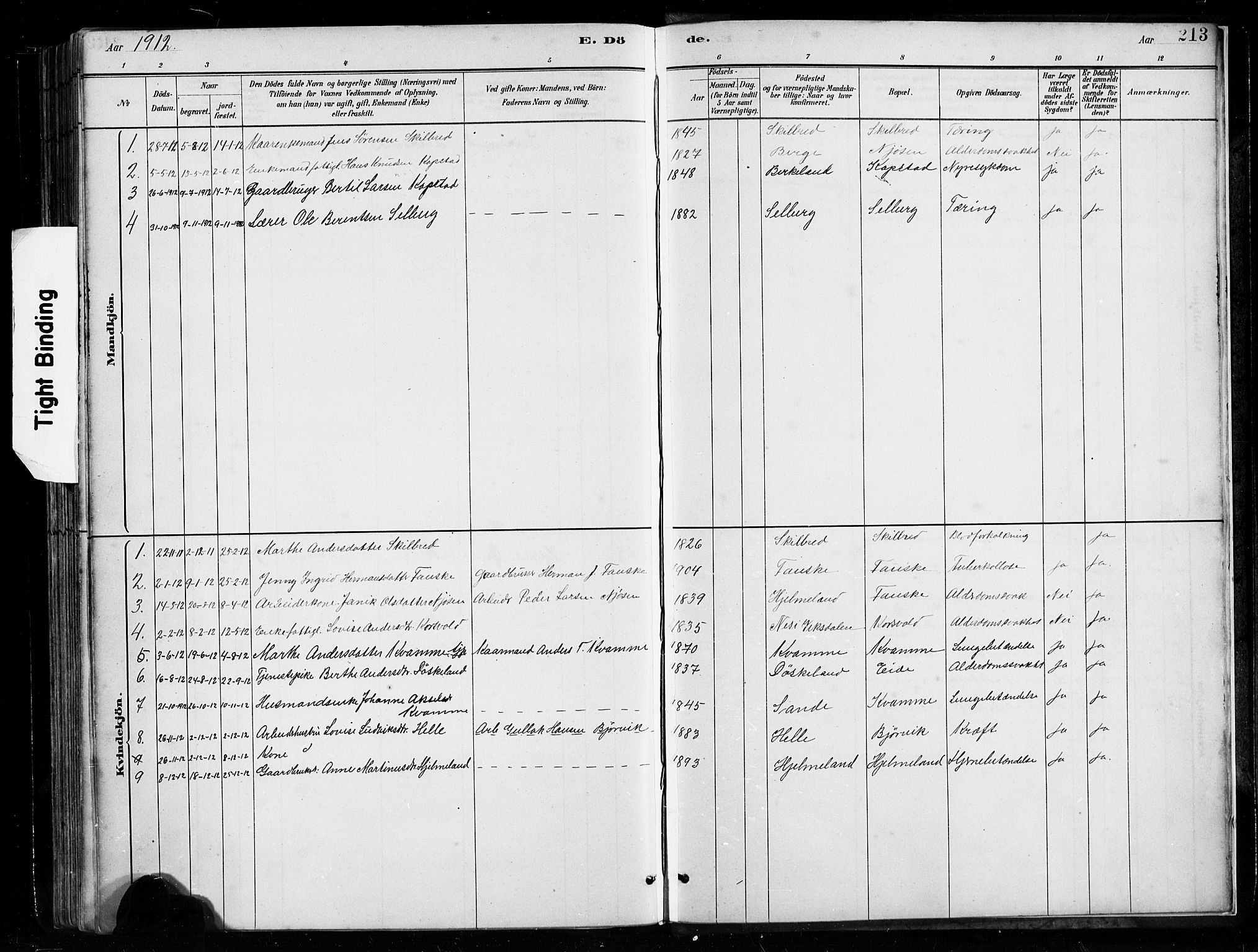 Gaular sokneprestembete, SAB/A-80001/H/Hab: Parish register (copy) no. B 3, 1882-1913, p. 213