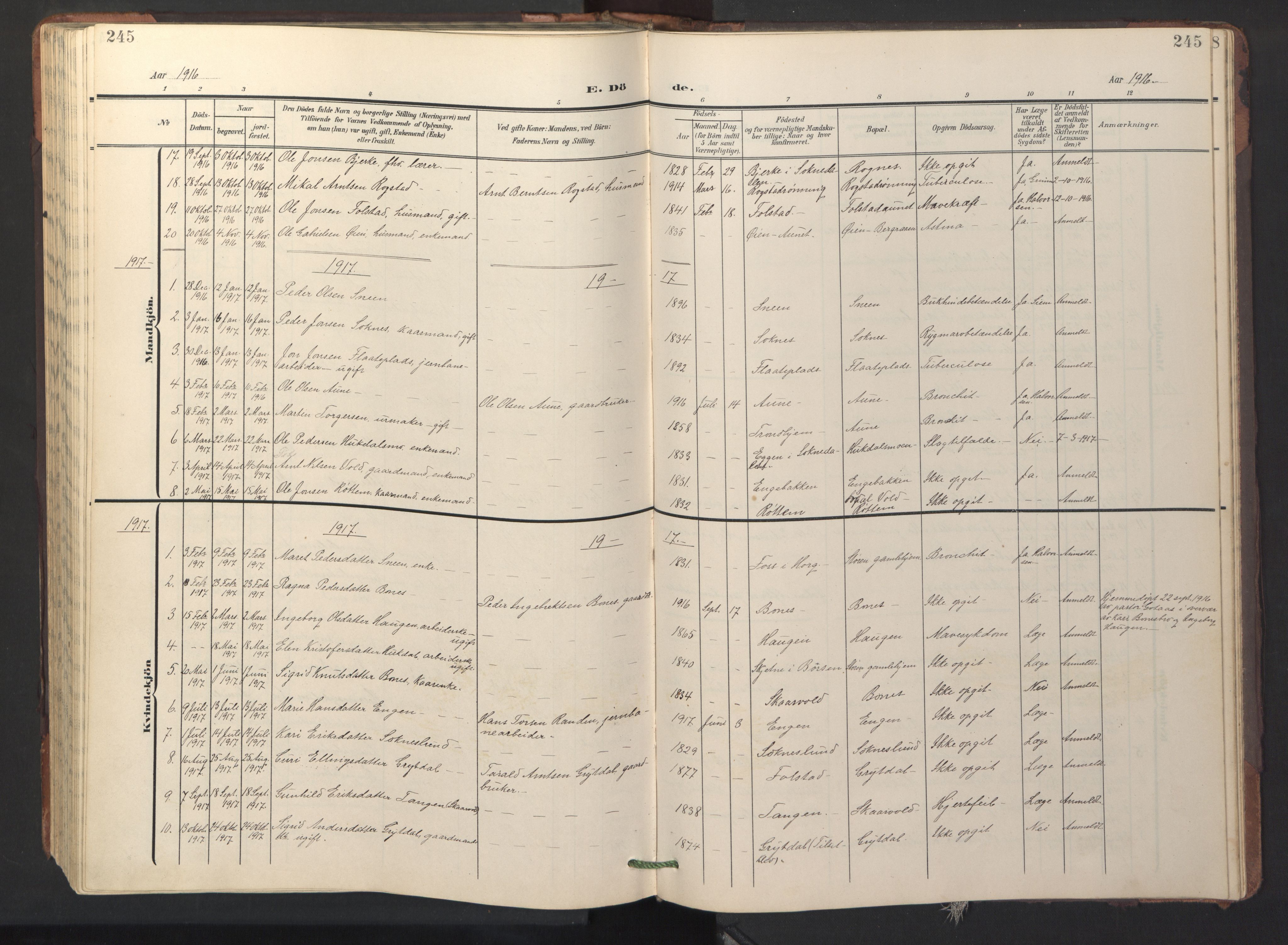 Ministerialprotokoller, klokkerbøker og fødselsregistre - Sør-Trøndelag, SAT/A-1456/687/L1019: Parish register (copy) no. 687C03, 1904-1931, p. 245