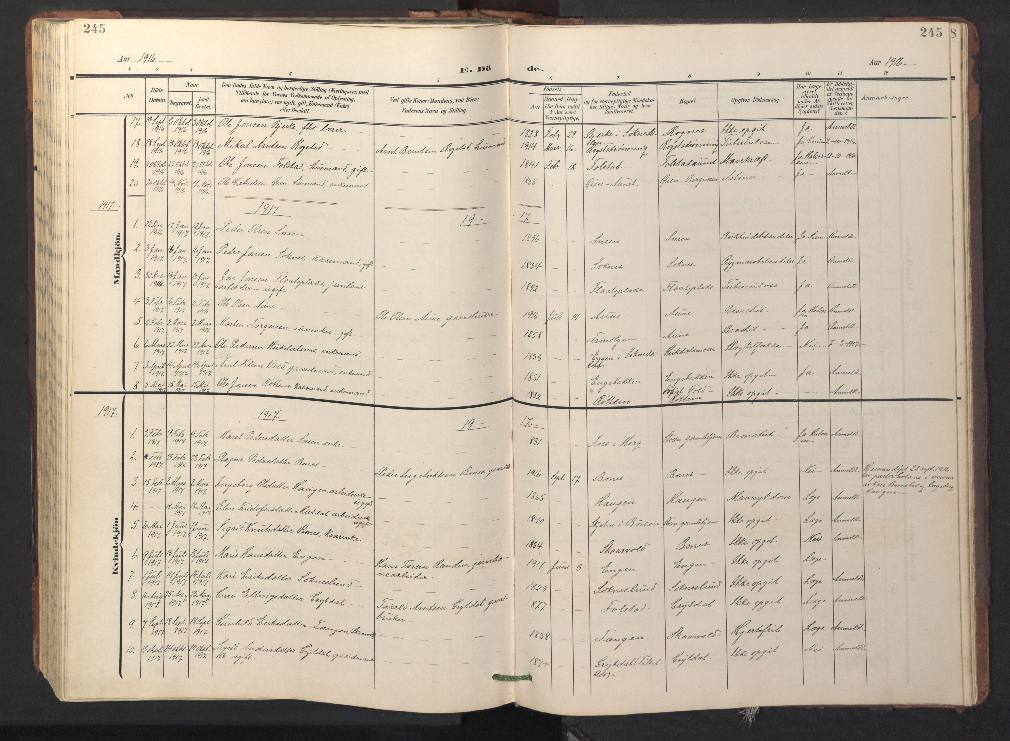 Ministerialprotokoller, klokkerbøker og fødselsregistre - Sør-Trøndelag, AV/SAT-A-1456/687/L1019: Parish register (copy) no. 687C03, 1904-1931, p. 245