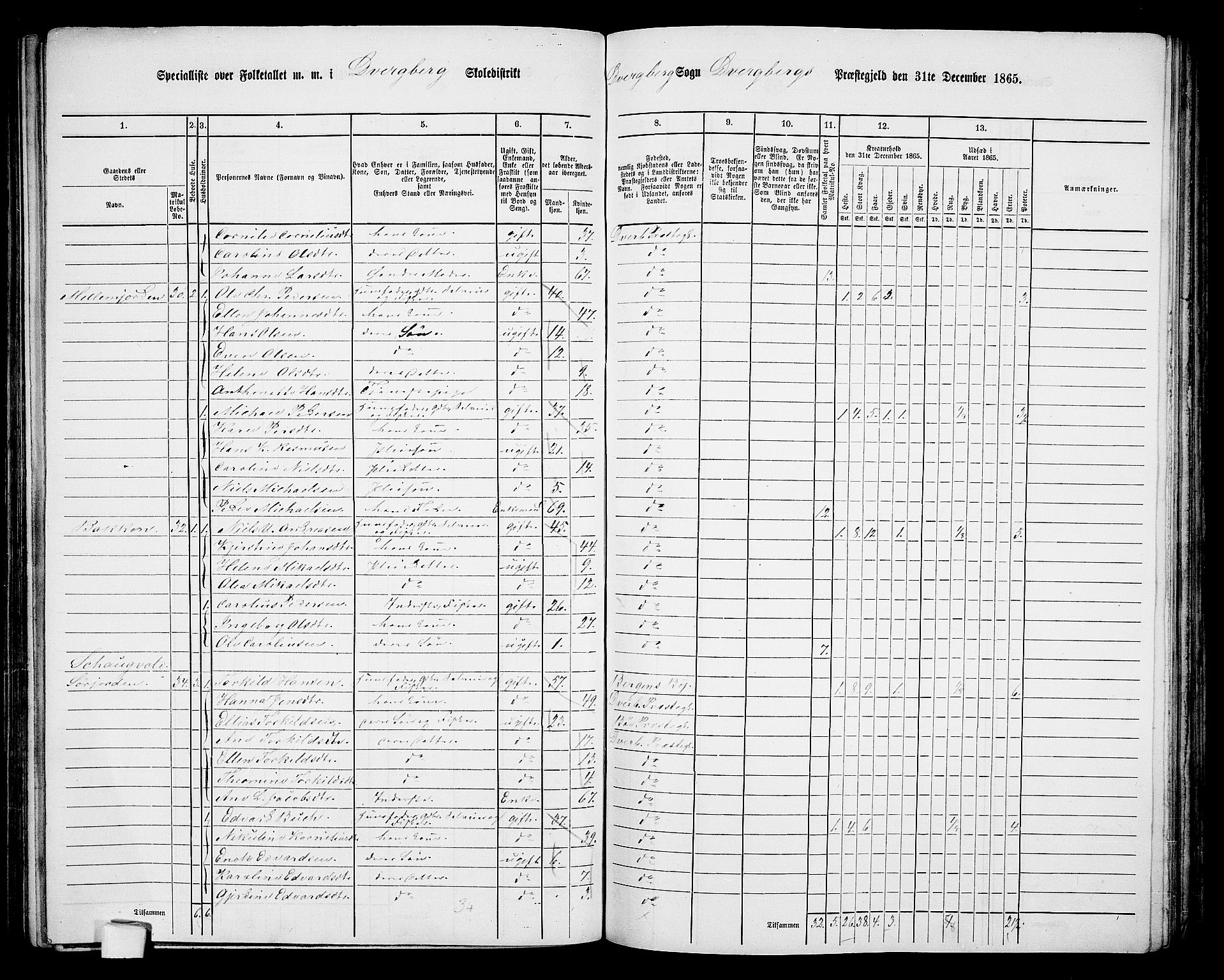 RA, 1865 census for Dverberg, 1865, p. 14