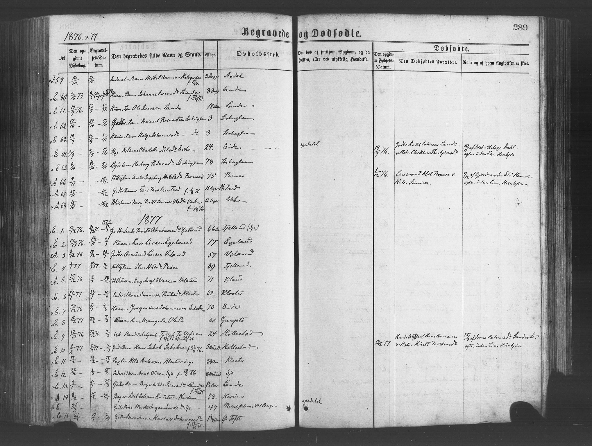 Fjelberg sokneprestembete, SAB/A-75201/H/Haa: Parish register (official) no. A 8, 1866-1879, p. 289