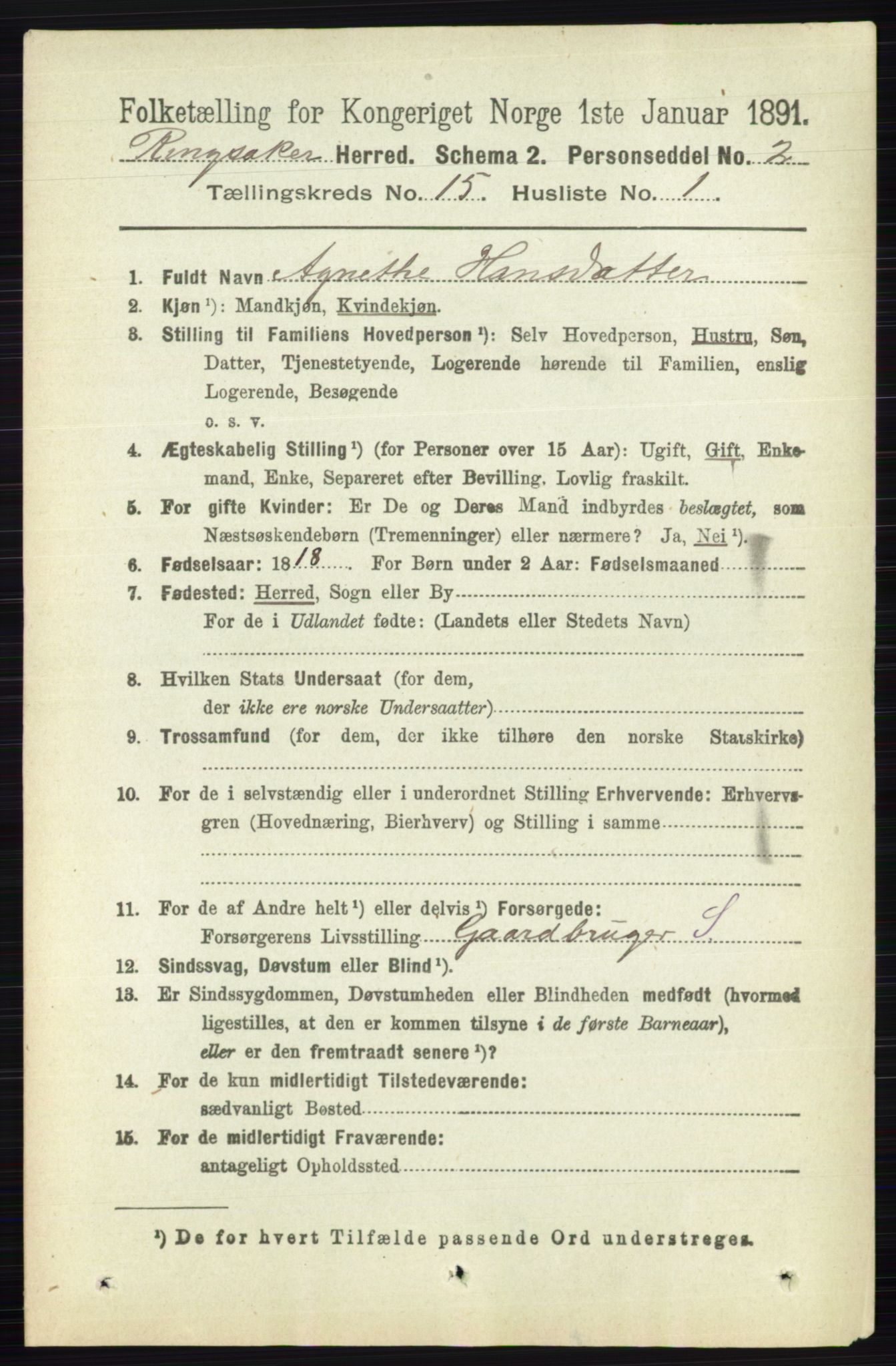 RA, 1891 census for 0412 Ringsaker, 1891, p. 8484