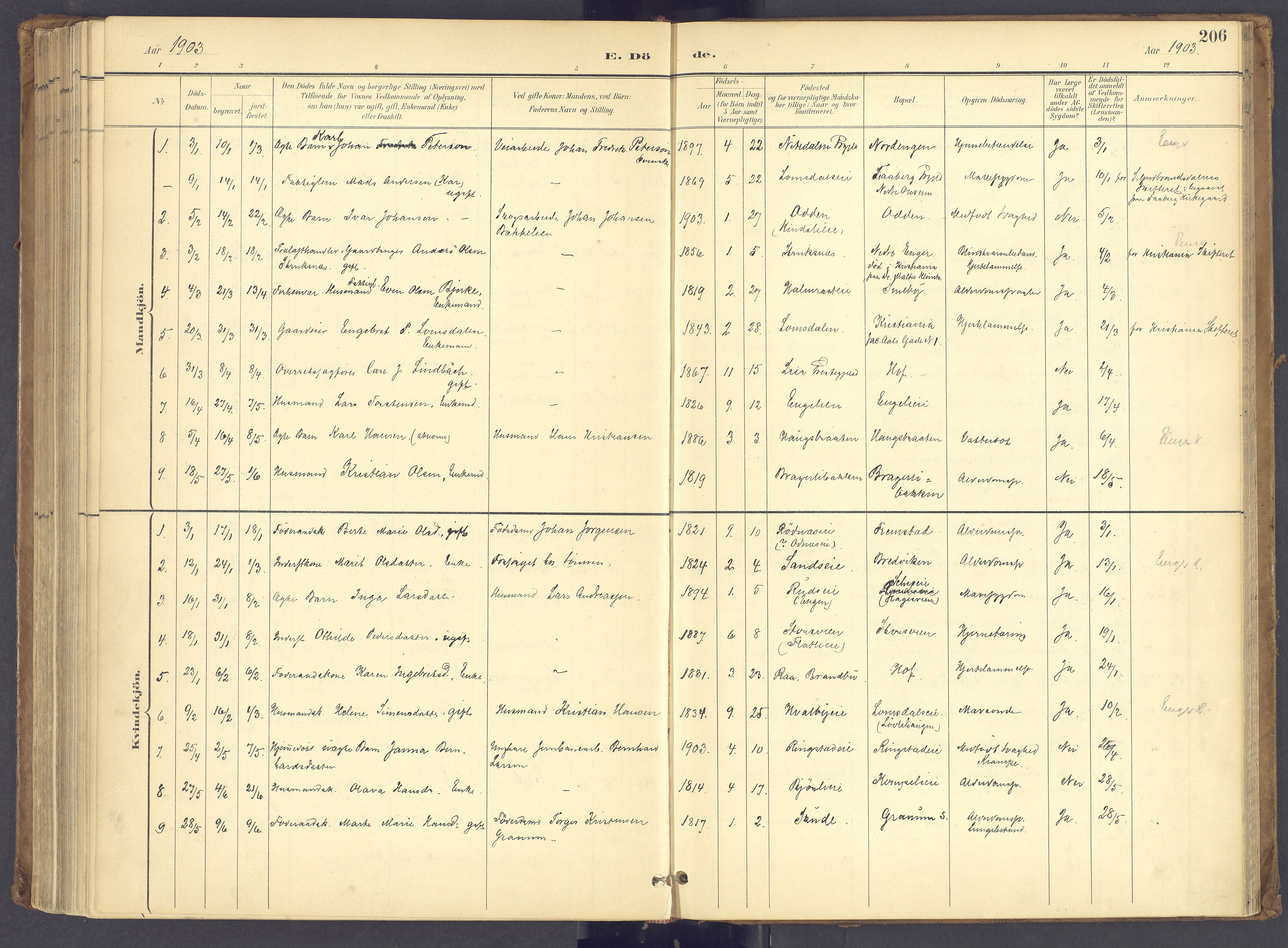 Søndre Land prestekontor, AV/SAH-PREST-122/K/L0006: Parish register (official) no. 6, 1895-1904, p. 206