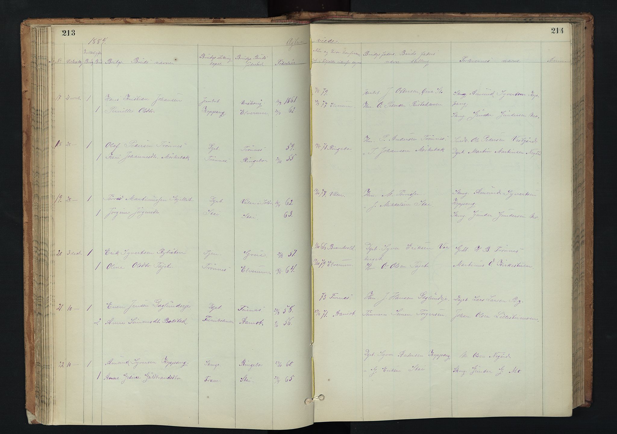 Stor-Elvdal prestekontor, SAH/PREST-052/H/Ha/Hab/L0002: Parish register (copy) no. 2, 1860-1894, p. 213-214