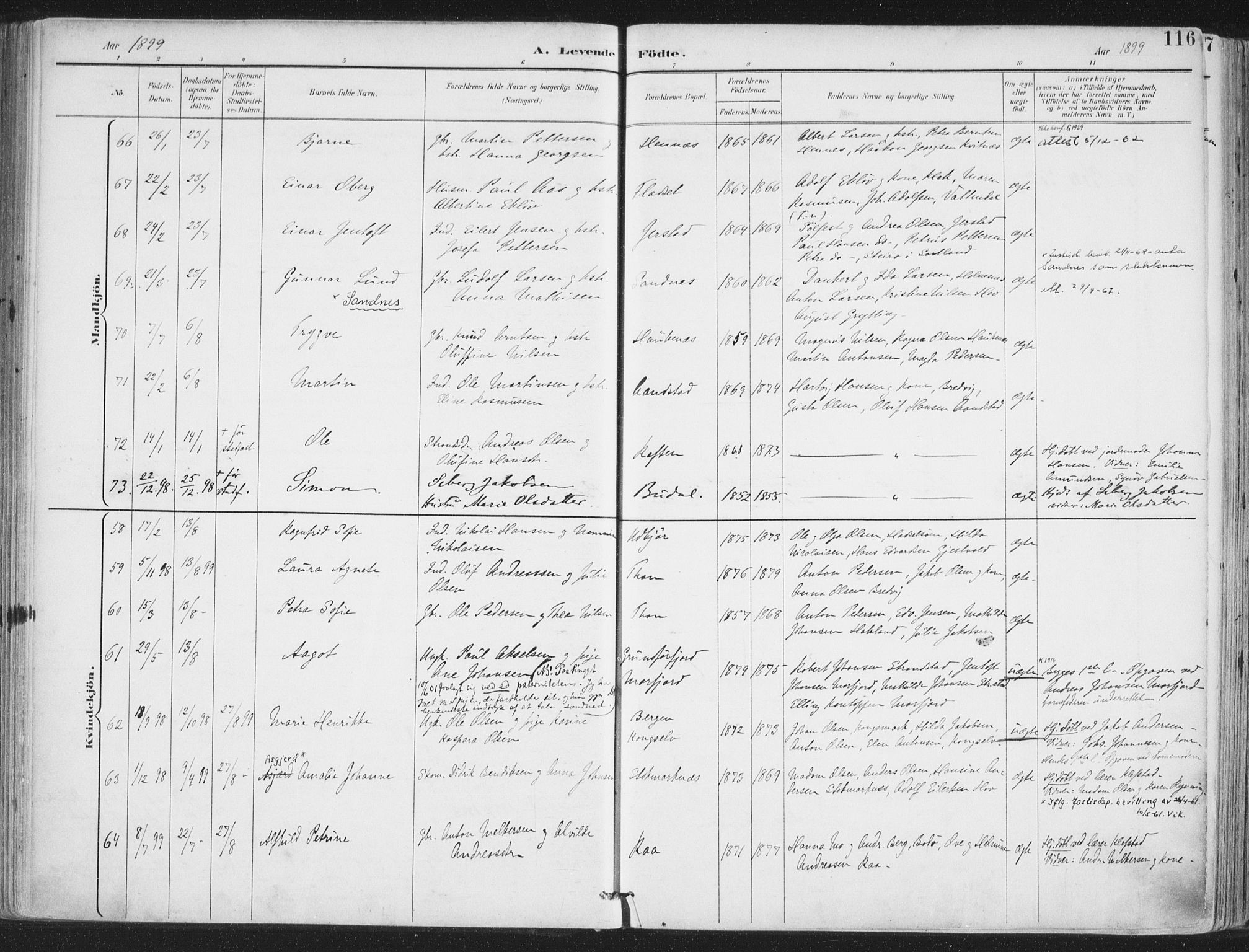 Ministerialprotokoller, klokkerbøker og fødselsregistre - Nordland, AV/SAT-A-1459/888/L1246: Parish register (official) no. 888A12, 1891-1903, p. 116