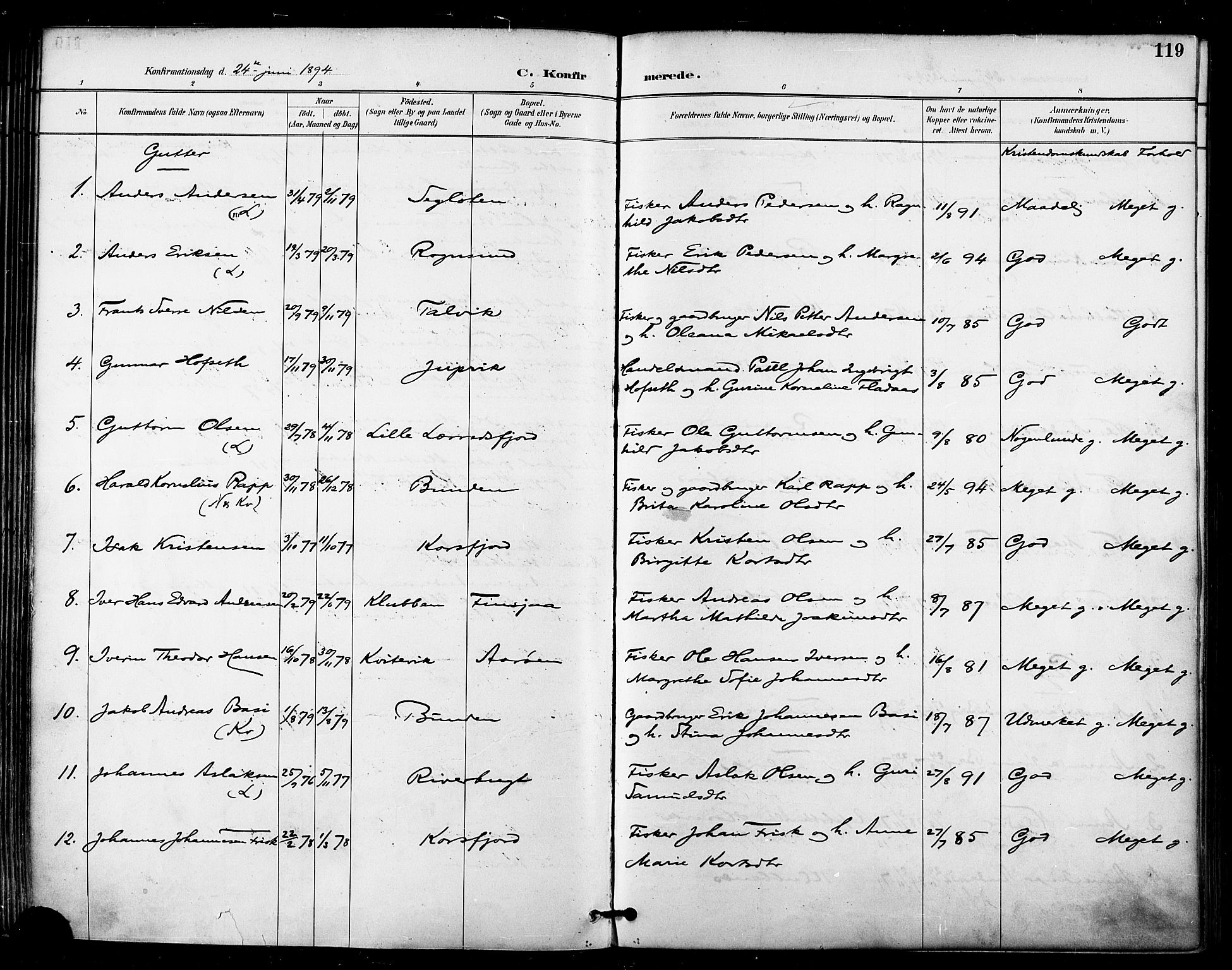 Talvik sokneprestkontor, SATØ/S-1337/H/Ha/L0013kirke: Parish register (official) no. 13, 1886-1897, p. 119