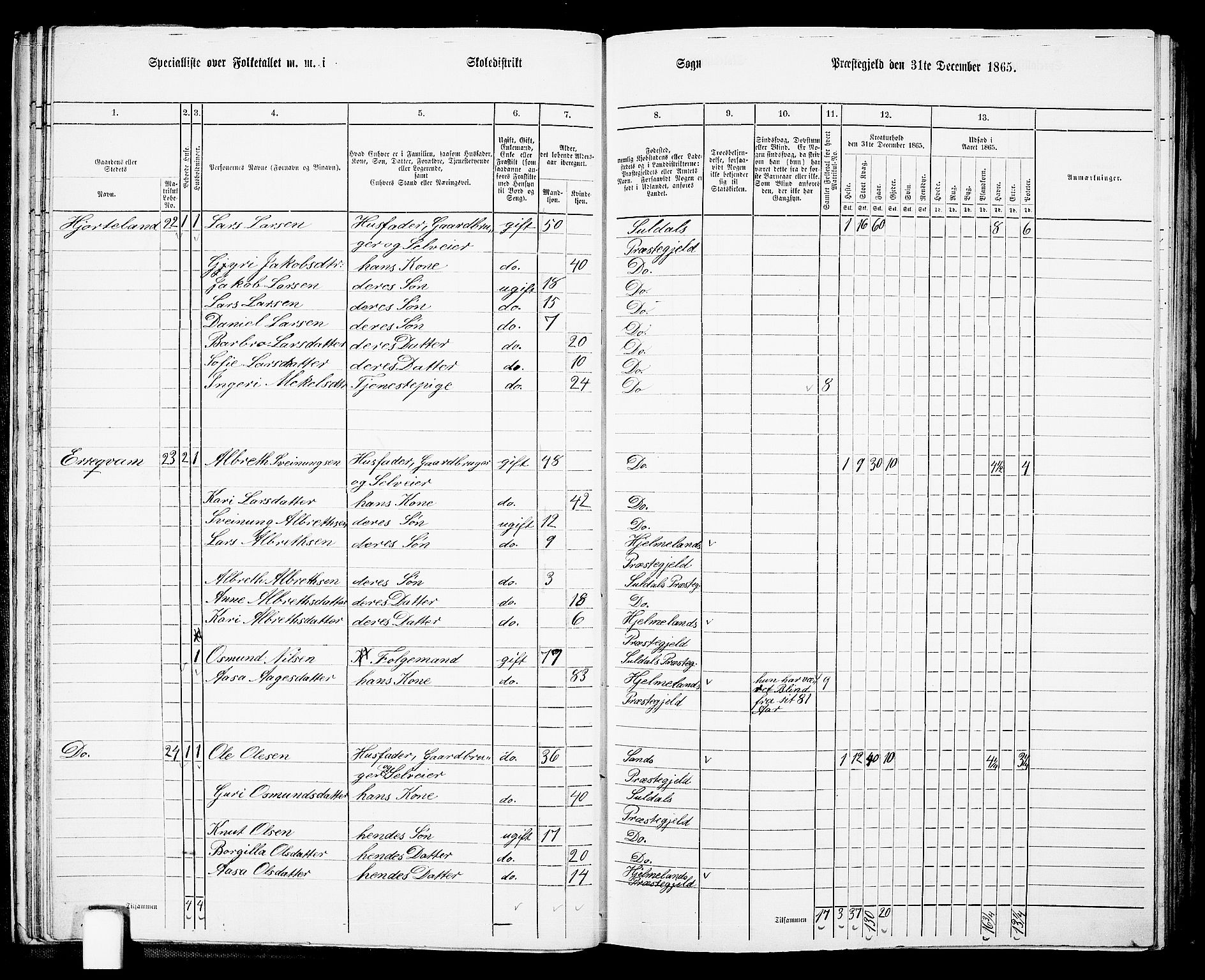 RA, 1865 census for Suldal, 1865, p. 32