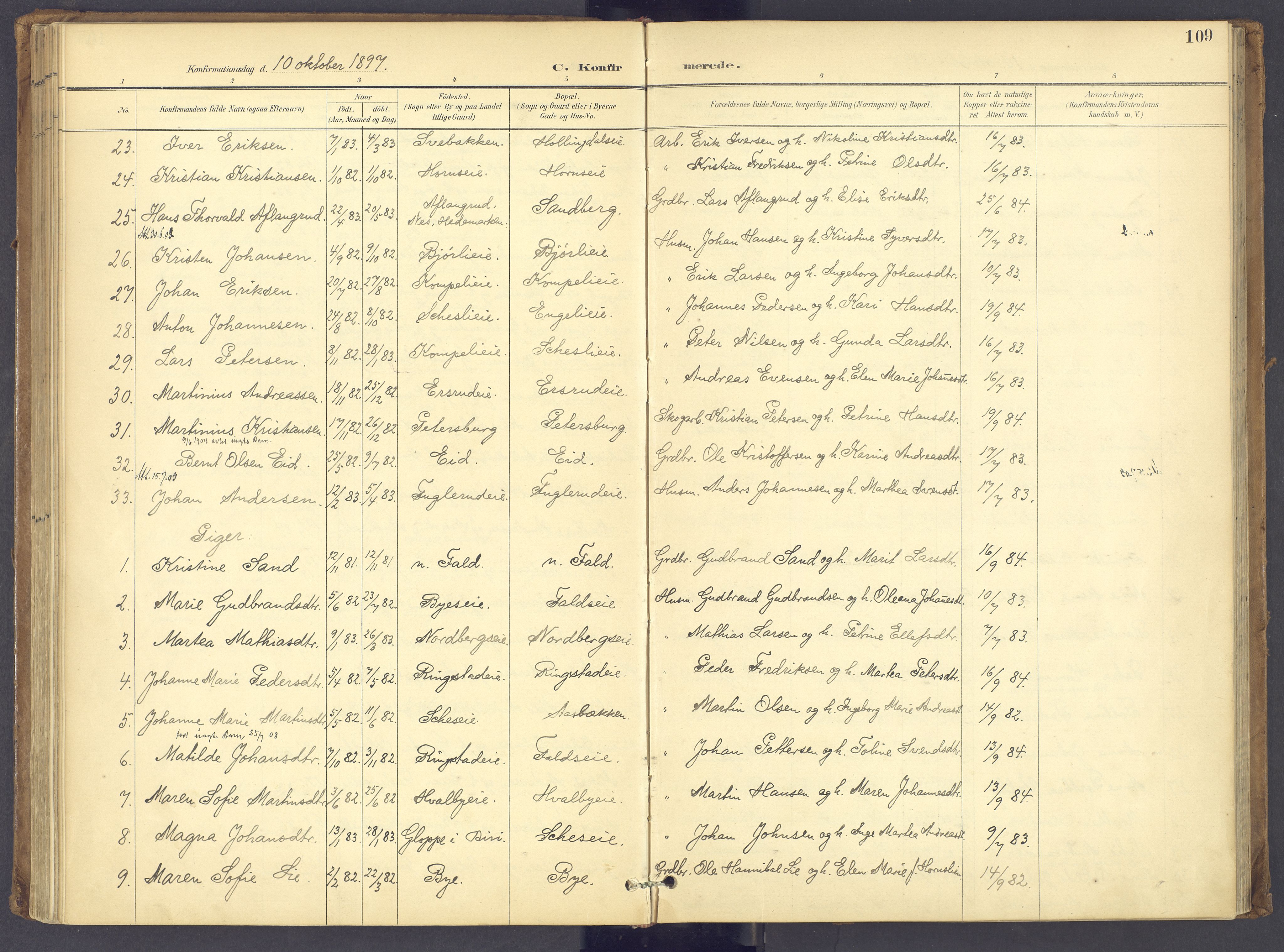 Søndre Land prestekontor, SAH/PREST-122/K/L0006: Parish register (official) no. 6, 1895-1904, p. 109