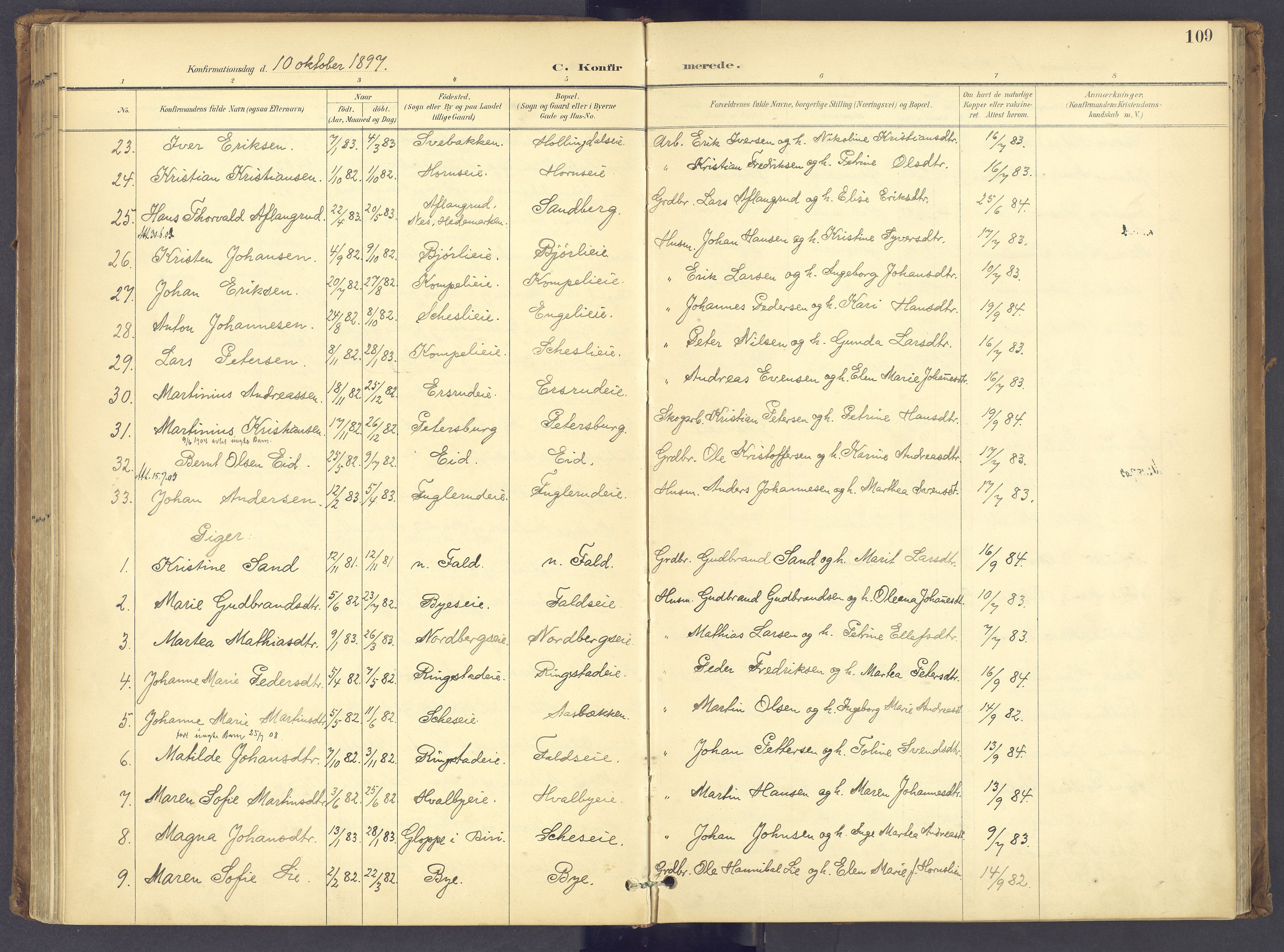 Søndre Land prestekontor, AV/SAH-PREST-122/K/L0006: Parish register (official) no. 6, 1895-1904, p. 109