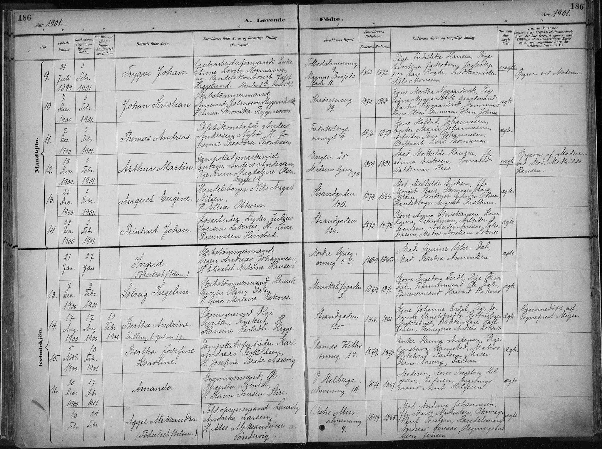 Nykirken Sokneprestembete, AV/SAB-A-77101/H/Haa/L0018: Parish register (official) no. B 6, 1895-1903, p. 186