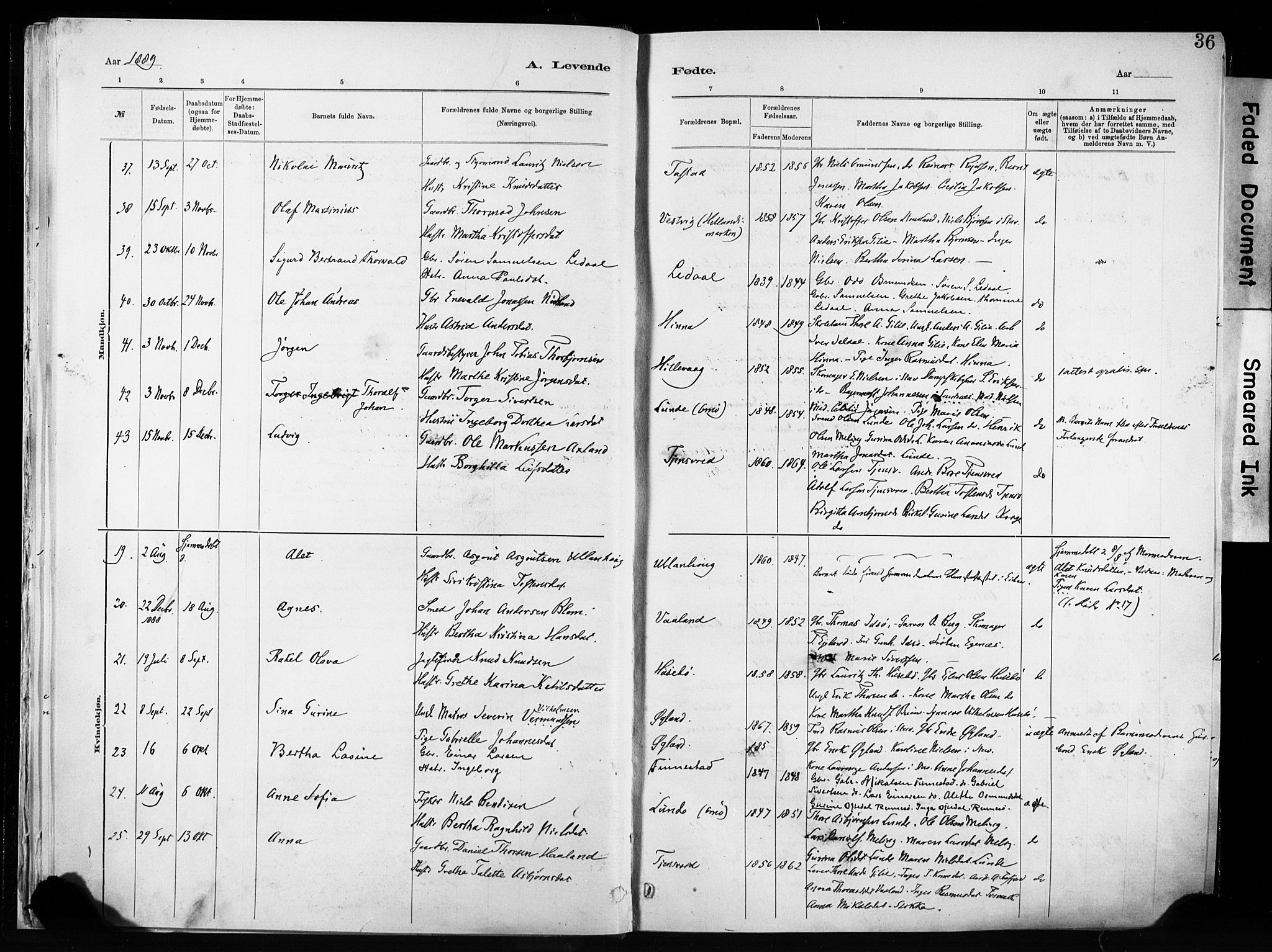 Hetland sokneprestkontor, SAST/A-101826/30/30BA/L0011: Parish register (official) no. A 11, 1884-1911, p. 36