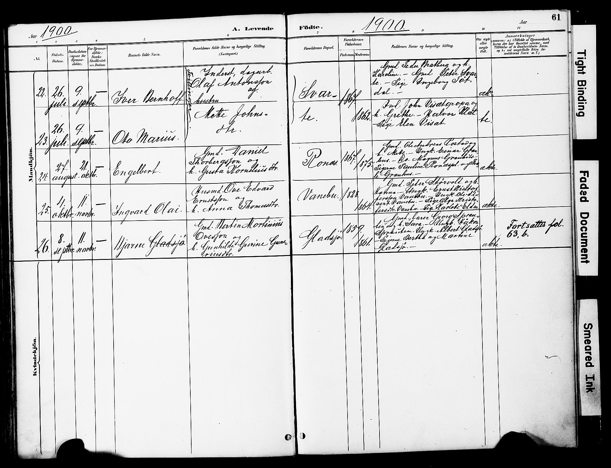Ministerialprotokoller, klokkerbøker og fødselsregistre - Nord-Trøndelag, SAT/A-1458/741/L0396: Parish register (official) no. 741A10, 1889-1901, p. 61