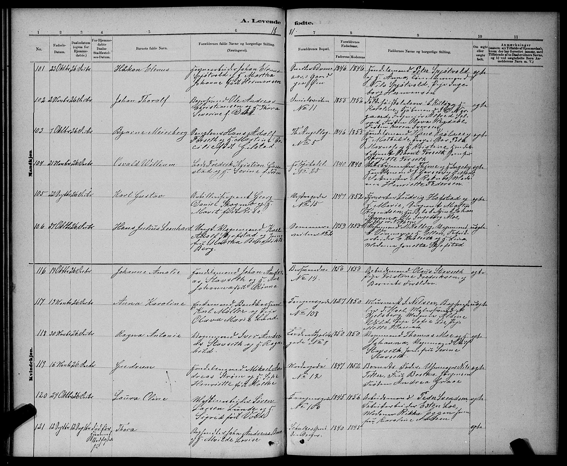 Ministerialprotokoller, klokkerbøker og fødselsregistre - Sør-Trøndelag, AV/SAT-A-1456/601/L0091: Parish register (copy) no. 601C09, 1878-1883