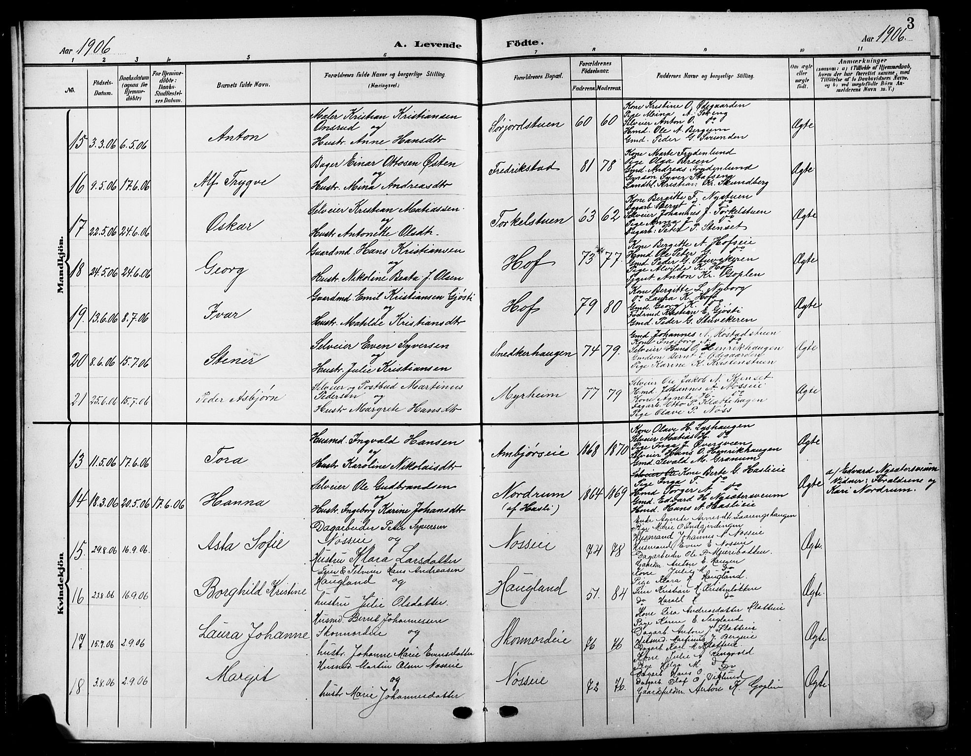 Biri prestekontor, SAH/PREST-096/H/Ha/Hab/L0005: Parish register (copy) no. 5, 1906-1919, p. 3