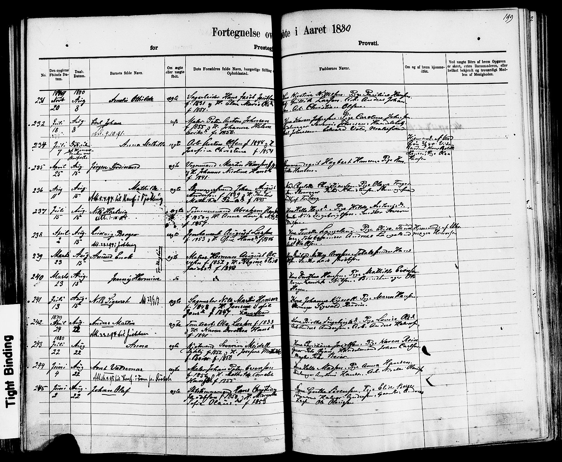 Larvik kirkebøker, AV/SAKO-A-352/F/Fa/L0006: Parish register (official) no. I 6, 1871-1883, p. 199