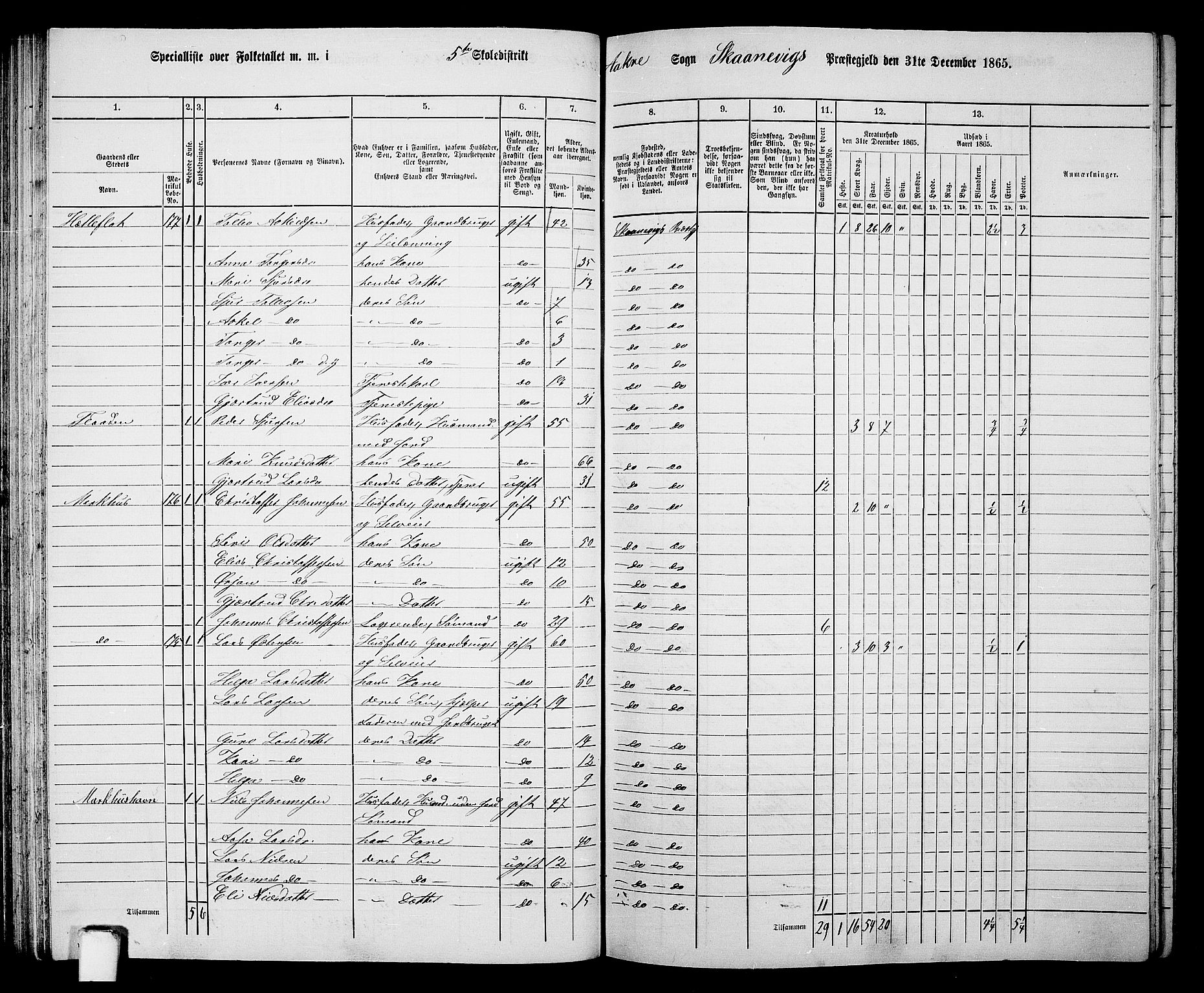 RA, 1865 census for Skånevik, 1865, p. 77