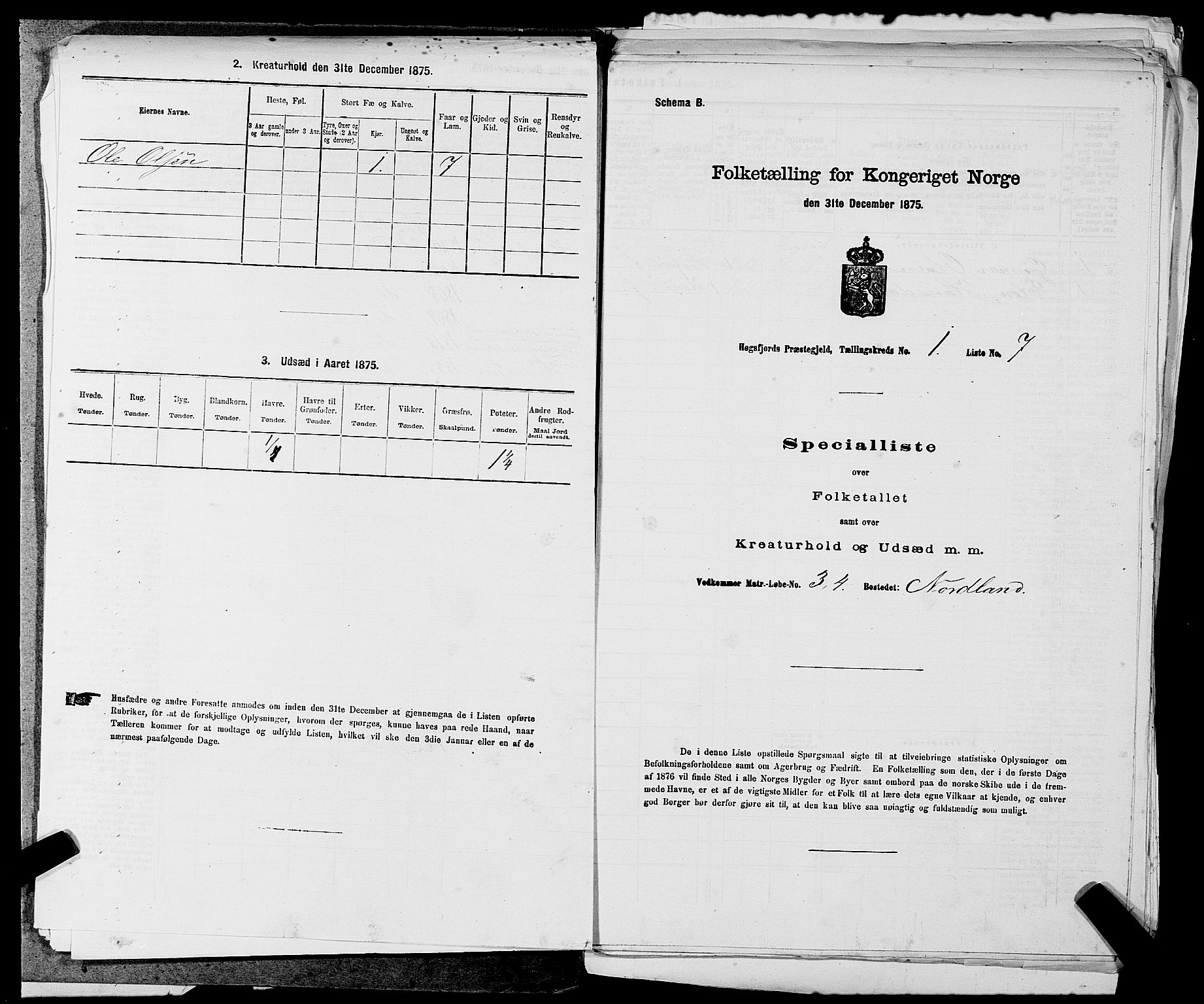 SAST, 1875 census for 1128P Høgsfjord, 1875, p. 77