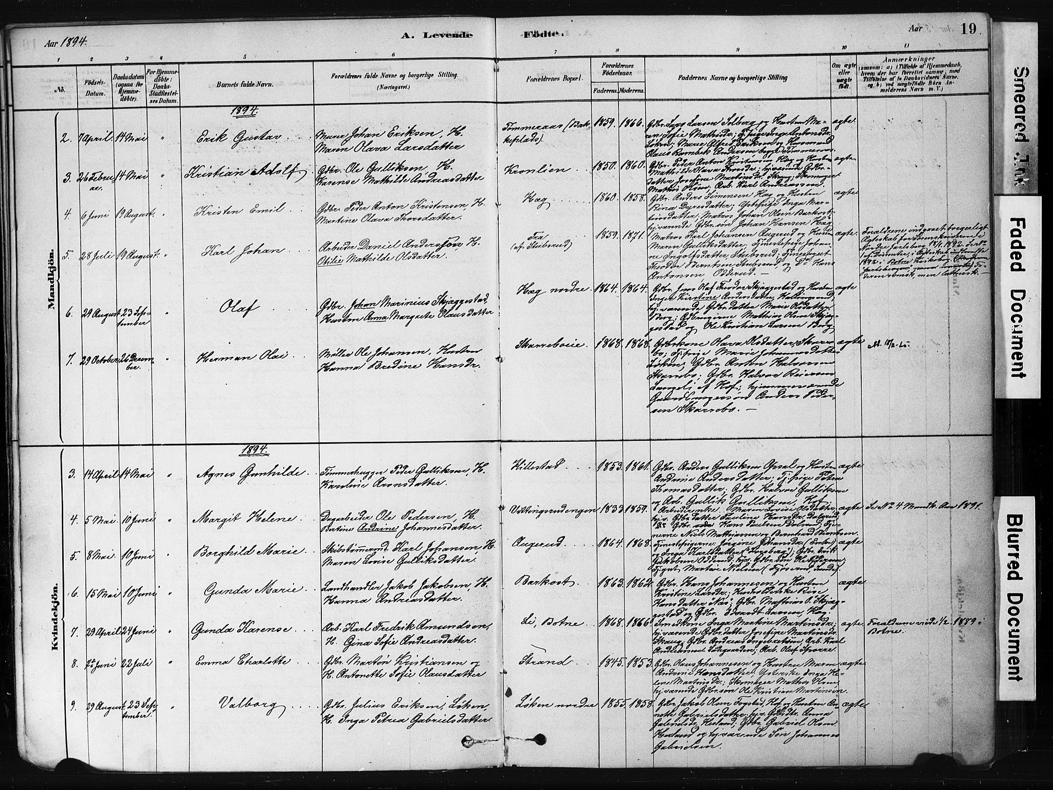 Botne kirkebøker, SAKO/A-340/F/Fb/L0001: Parish register (official) no. II 1, 1878-1902, p. 19