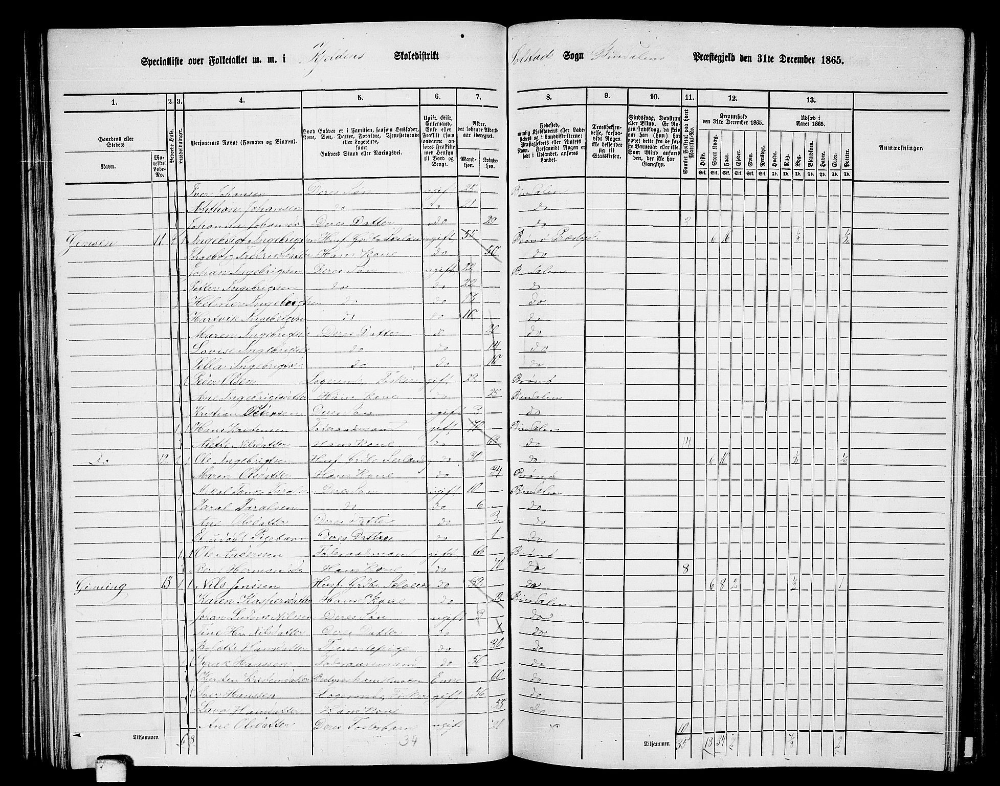 RA, 1865 census for Bindal, 1865, p. 62