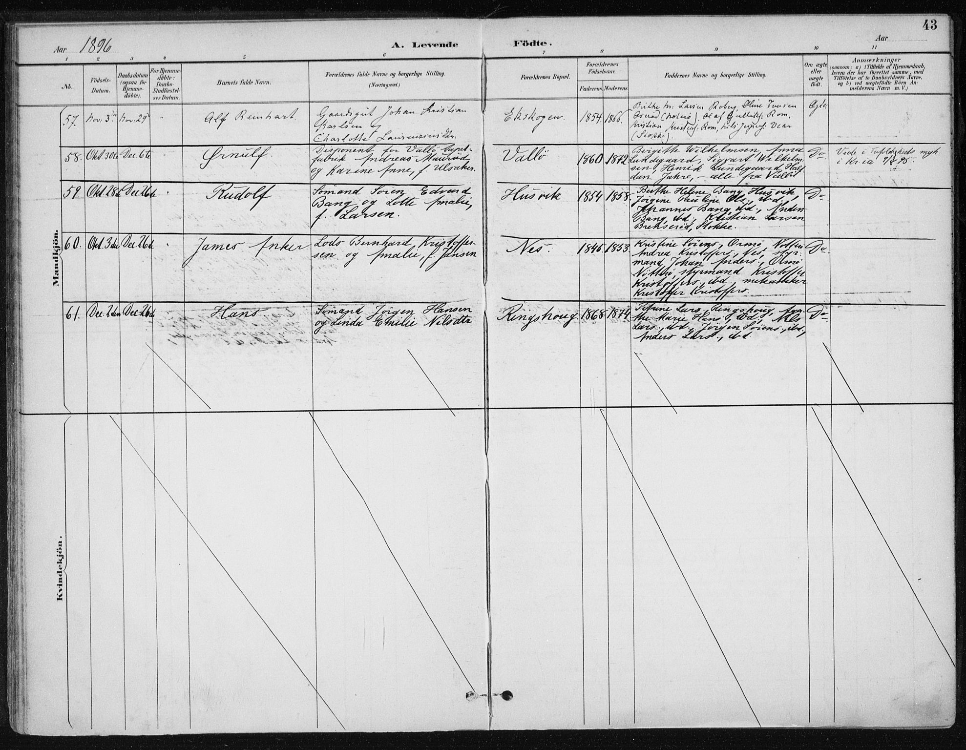 Sem kirkebøker, AV/SAKO-A-5/F/Fb/L0005: Parish register (official) no. II 5, 1892-1904, p. 43