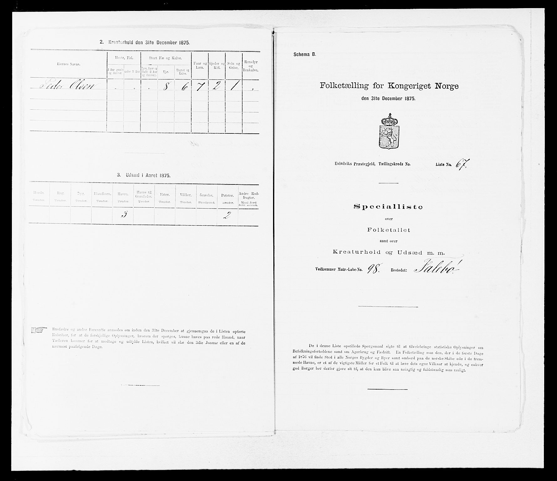 SAB, 1875 census for 1411P Eivindvik, 1875, p. 252