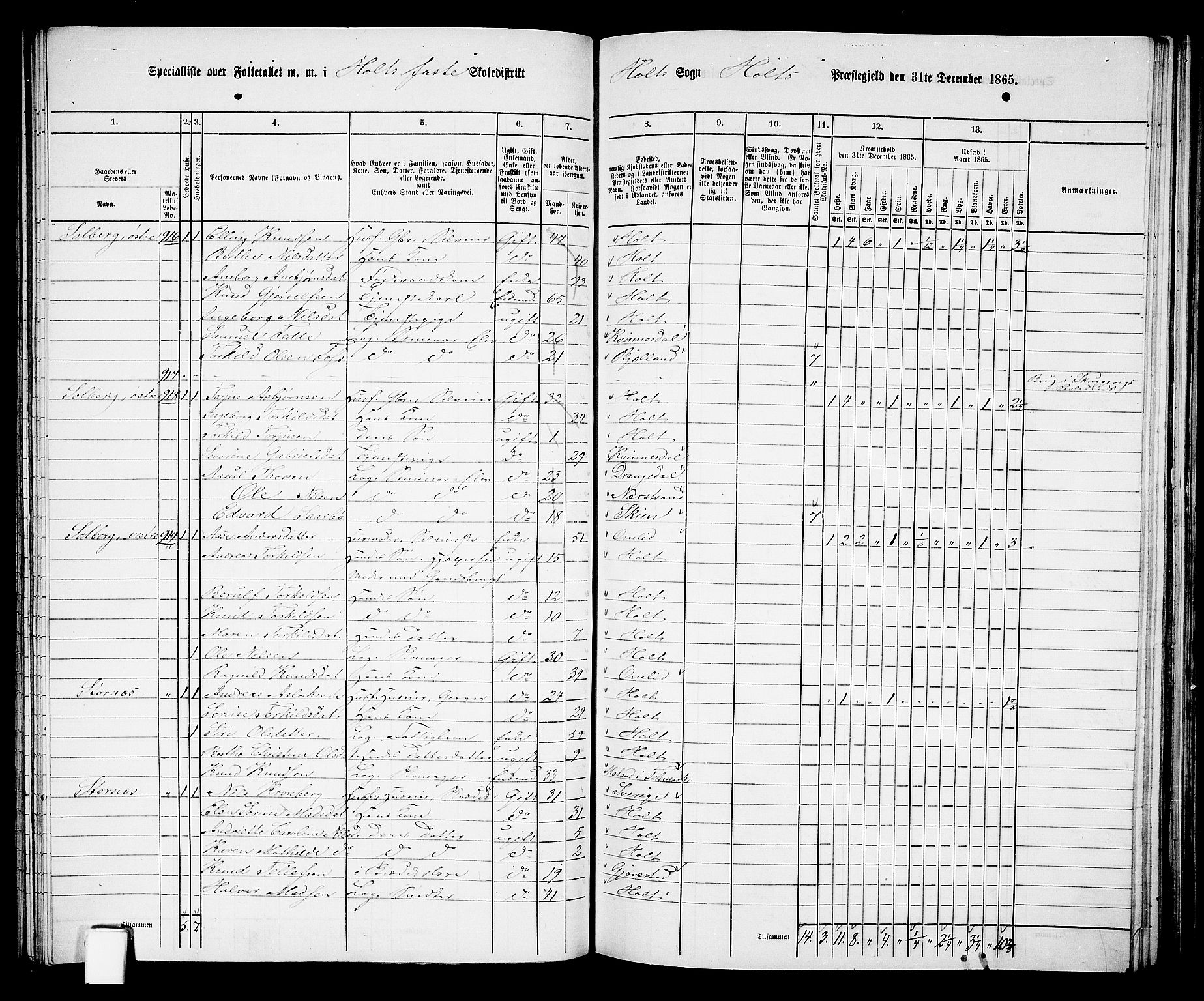 RA, 1865 census for Holt/Holt, 1865, p. 101