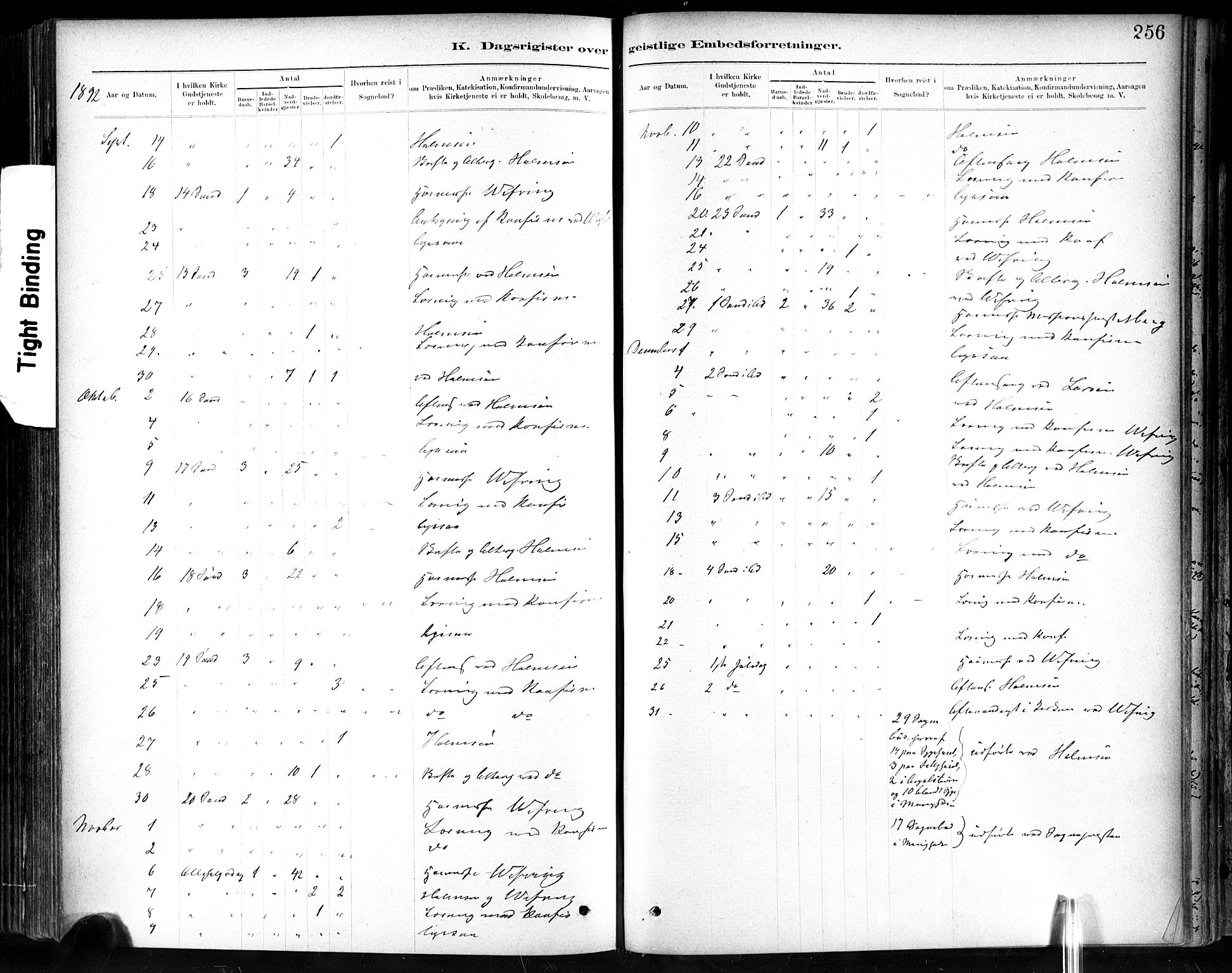 Ministerialprotokoller, klokkerbøker og fødselsregistre - Sør-Trøndelag, SAT/A-1456/602/L0120: Parish register (official) no. 602A18, 1880-1913, p. 256