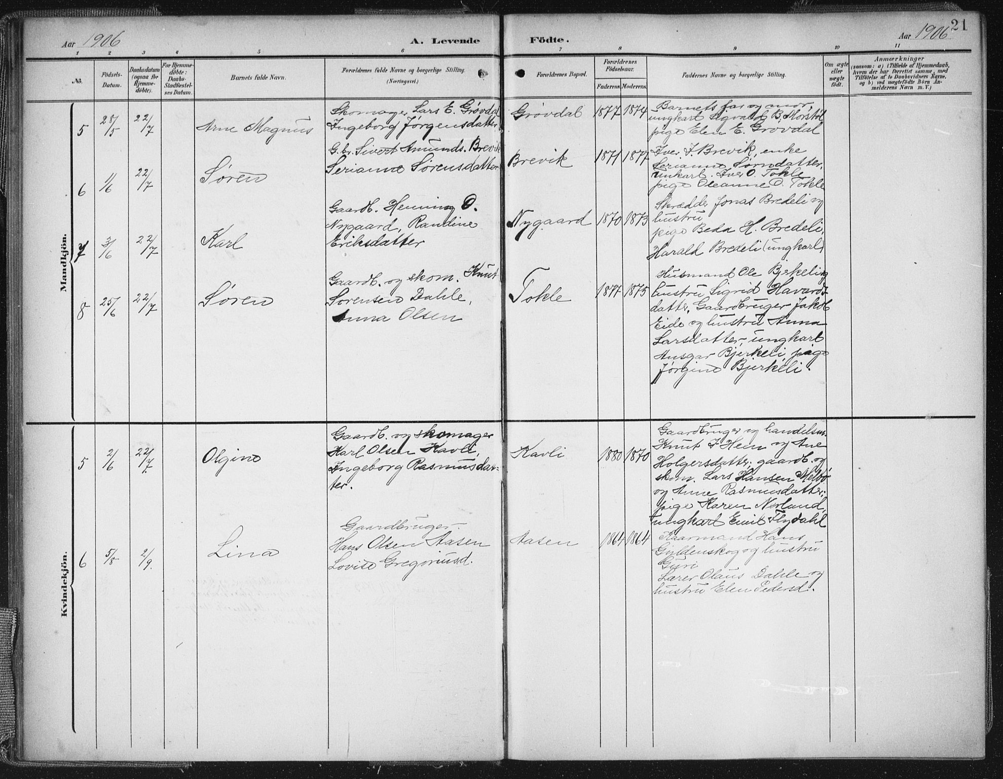 Ministerialprotokoller, klokkerbøker og fødselsregistre - Møre og Romsdal, AV/SAT-A-1454/545/L0589: Parish register (copy) no. 545C03, 1902-1937, p. 21