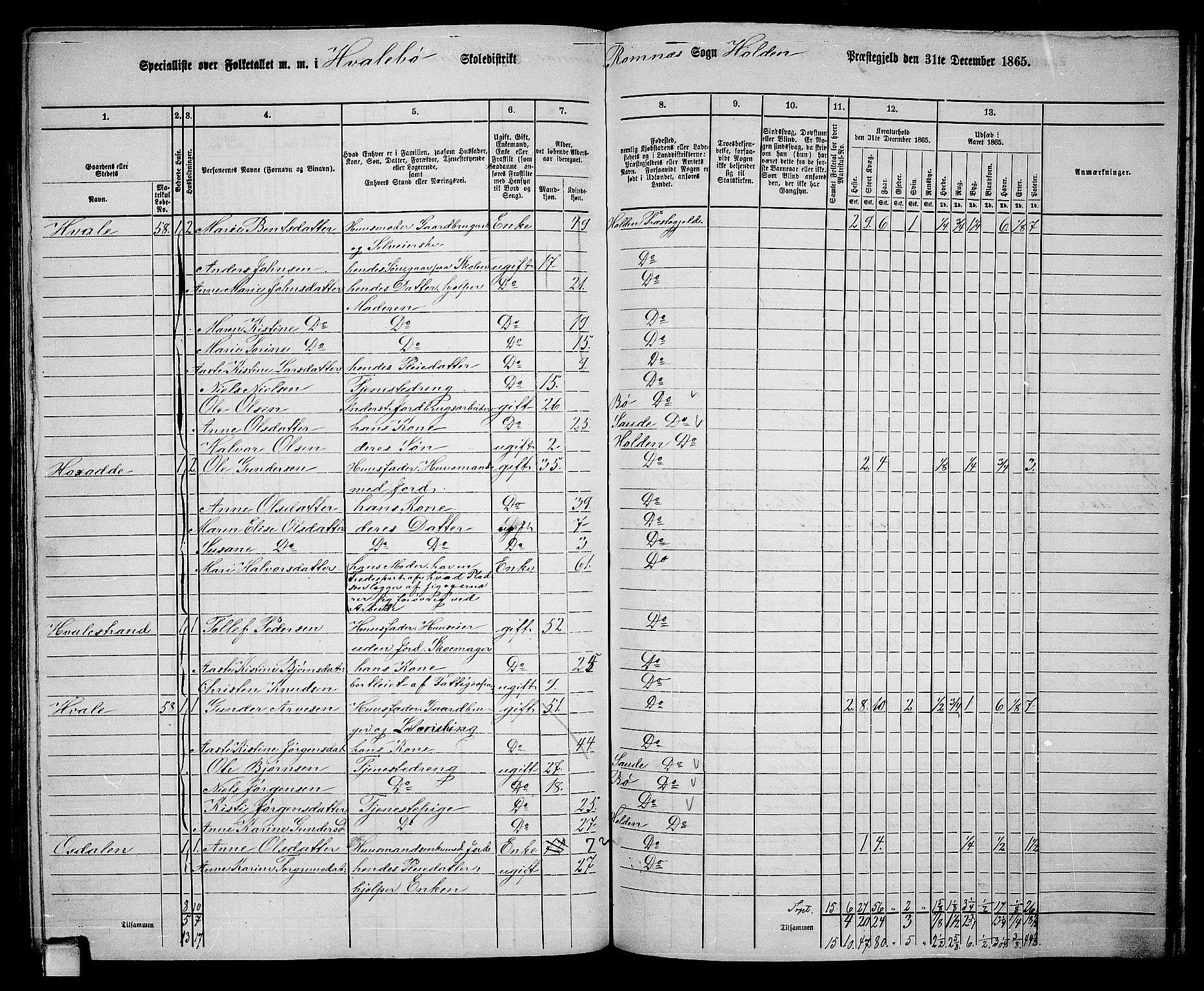 RA, 1865 census for Holla, 1865, p. 122