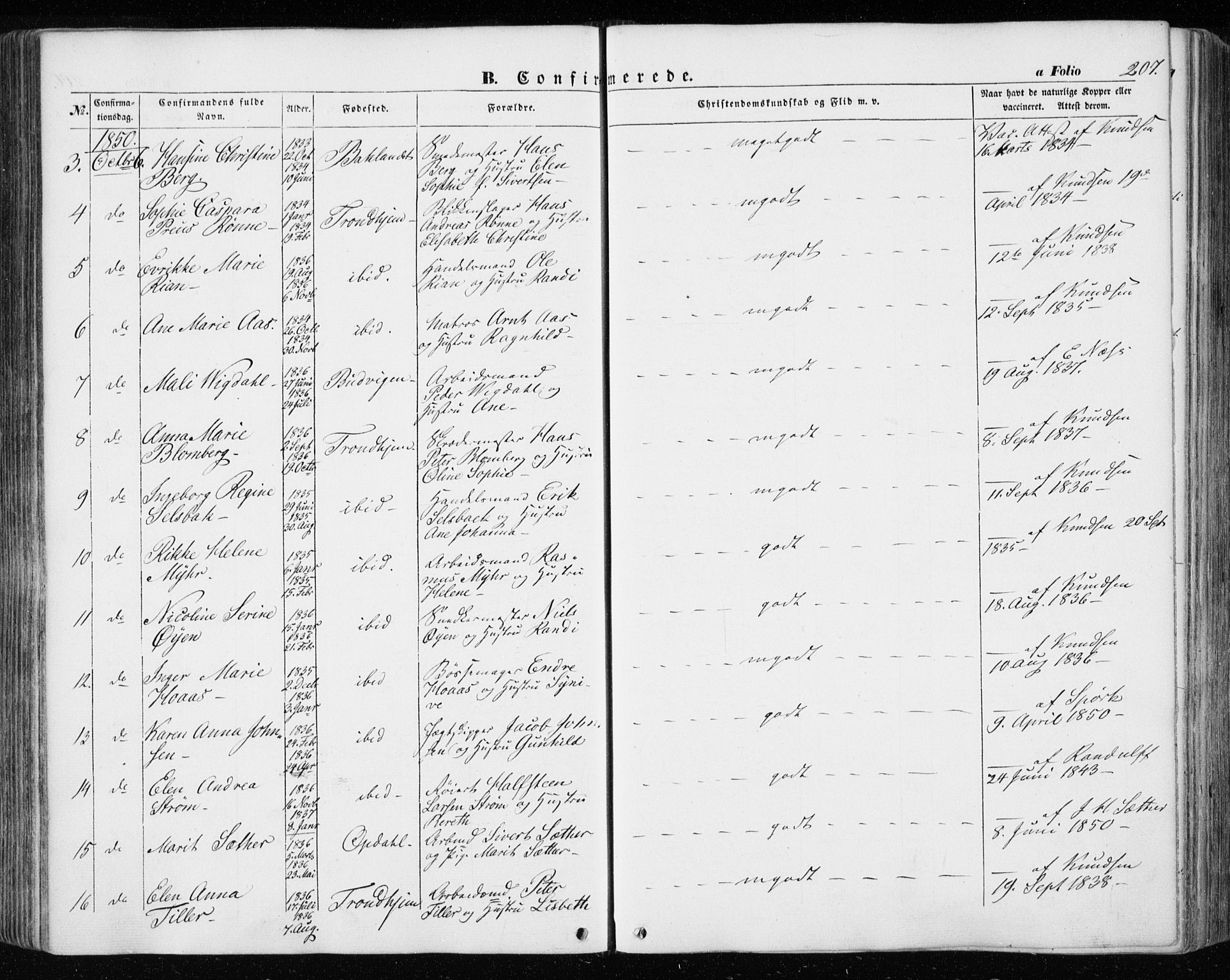 Ministerialprotokoller, klokkerbøker og fødselsregistre - Sør-Trøndelag, SAT/A-1456/601/L0051: Parish register (official) no. 601A19, 1848-1857, p. 207
