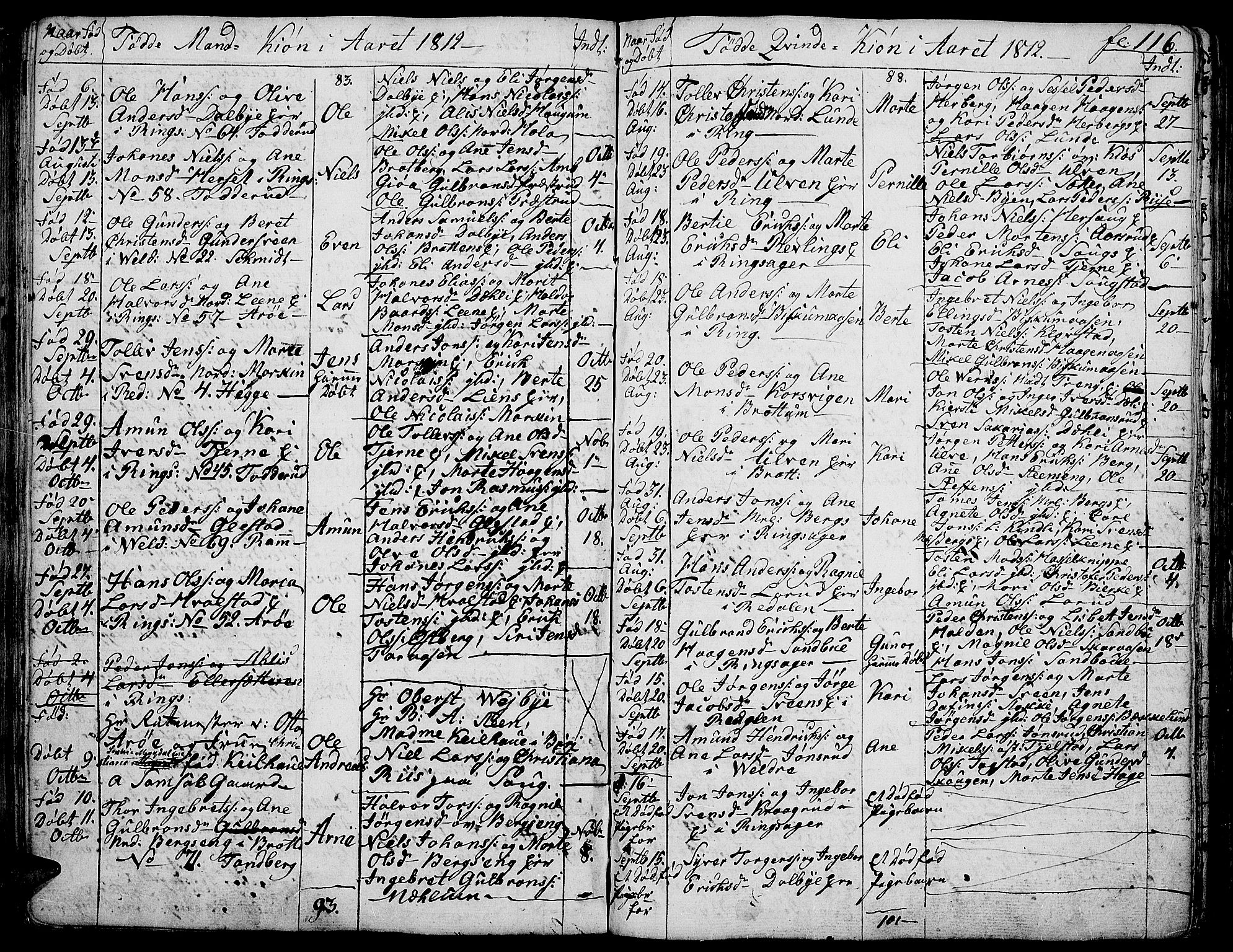 Ringsaker prestekontor, AV/SAH-PREST-014/K/Ka/L0004: Parish register (official) no. 4, 1799-1814, p. 116