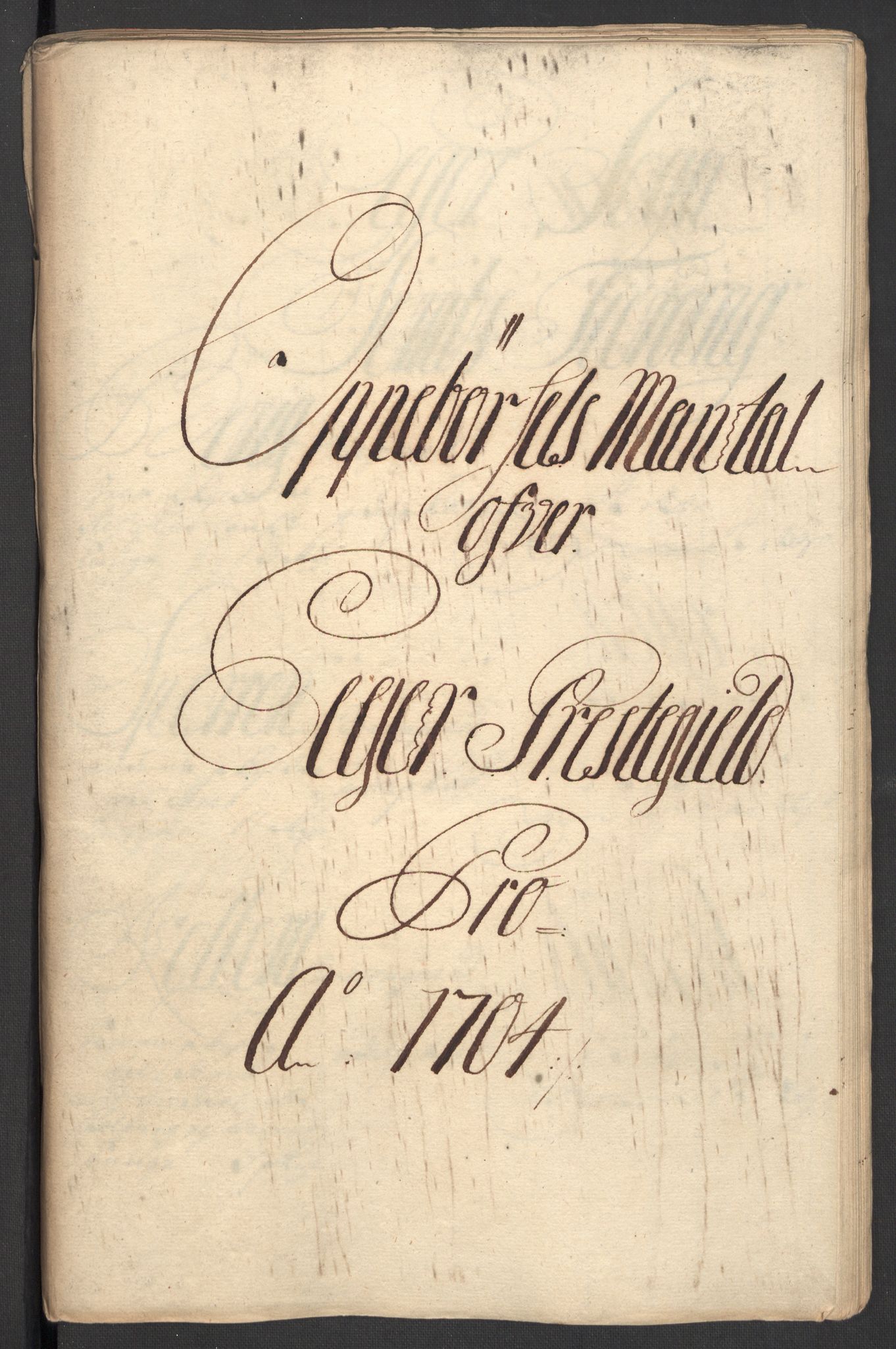 Rentekammeret inntil 1814, Reviderte regnskaper, Fogderegnskap, RA/EA-4092/R30/L1700: Fogderegnskap Hurum, Røyken, Eiker og Lier, 1704-1705, p. 81