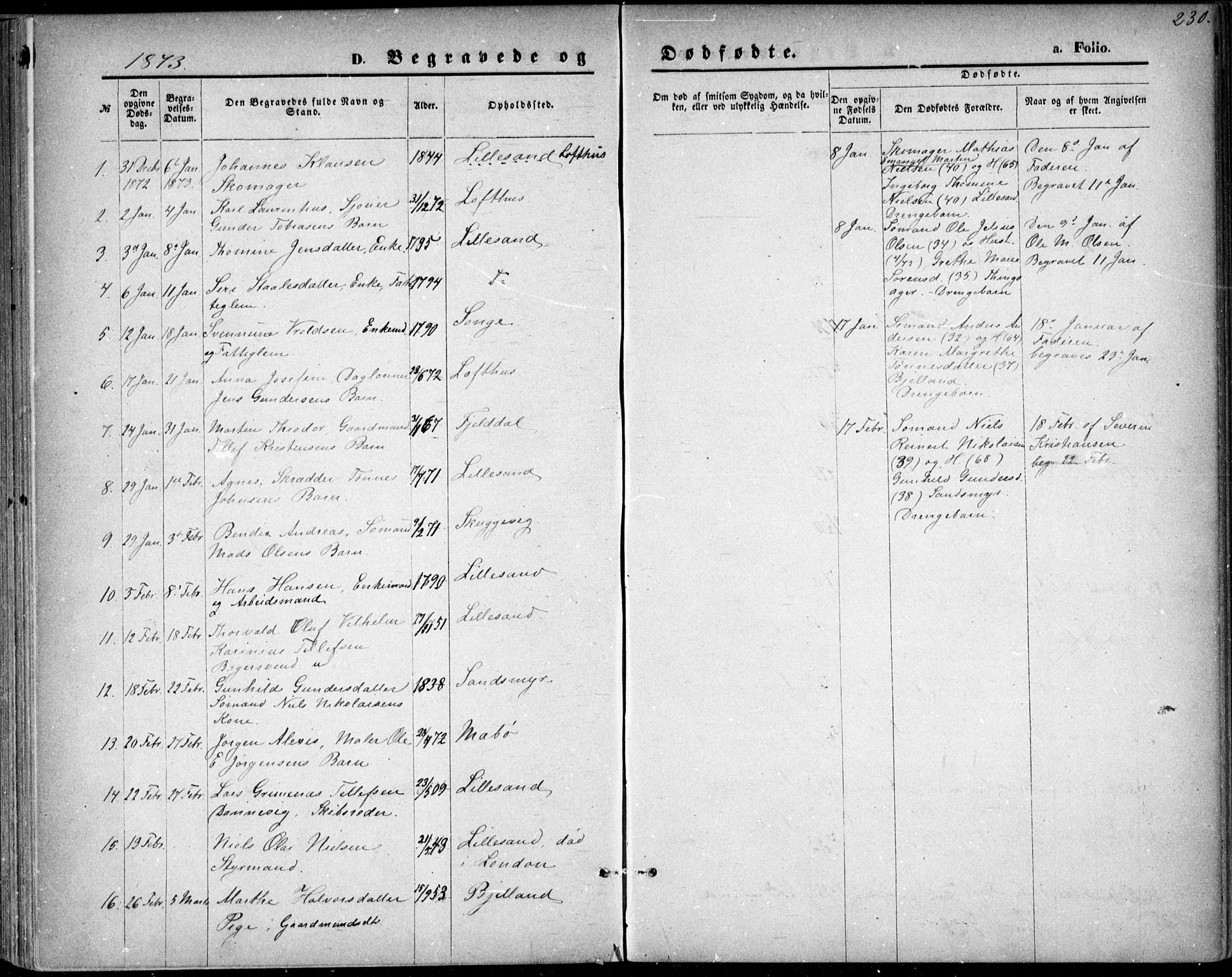 Vestre Moland sokneprestkontor, SAK/1111-0046/F/Fb/Fbb/L0005: Parish register (copy) no. B 5, 1872-1883, p. 230