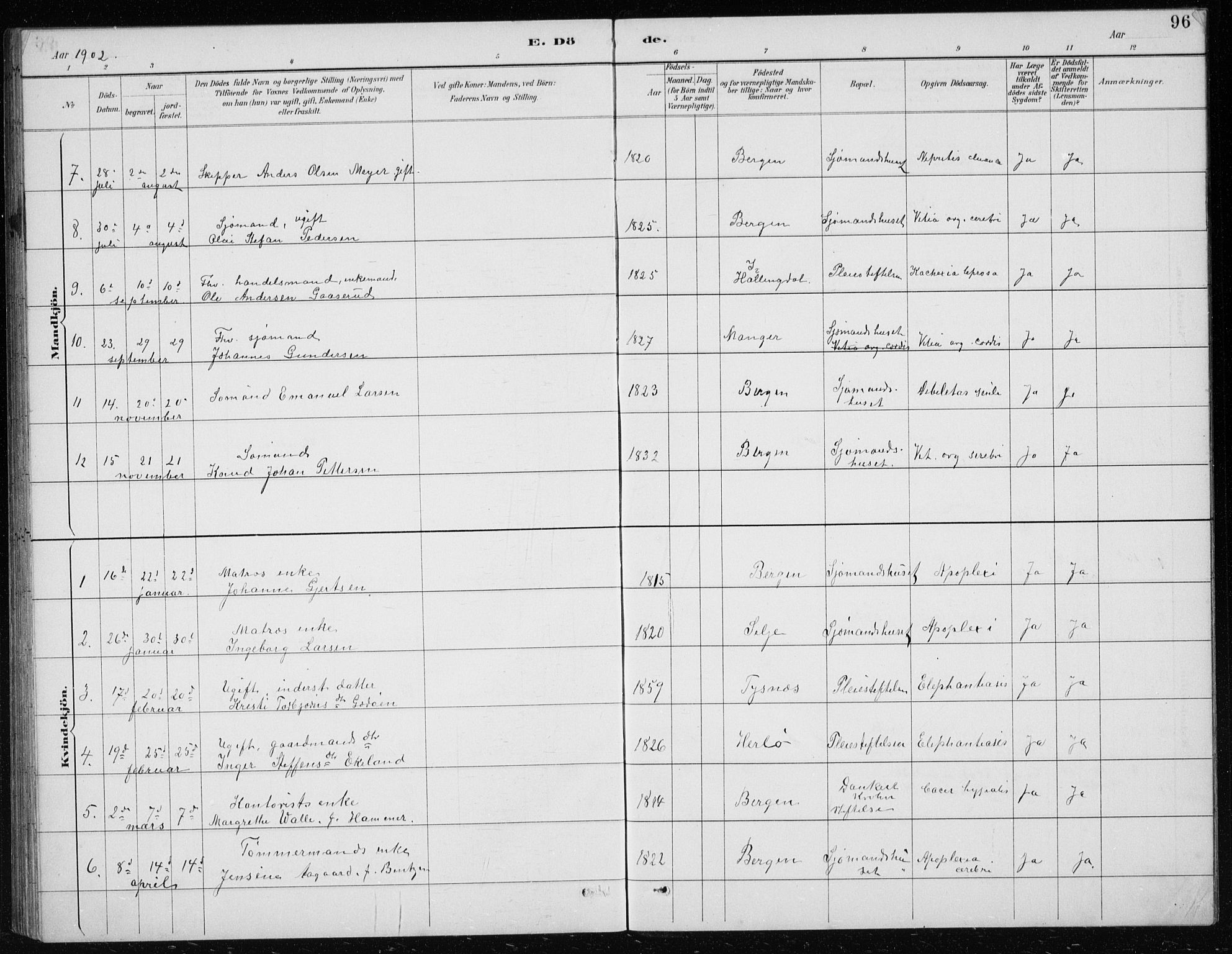 St. Jørgens hospital og Årstad sokneprestembete, AV/SAB-A-99934: Parish register (copy) no. A 10, 1886-1910, p. 96