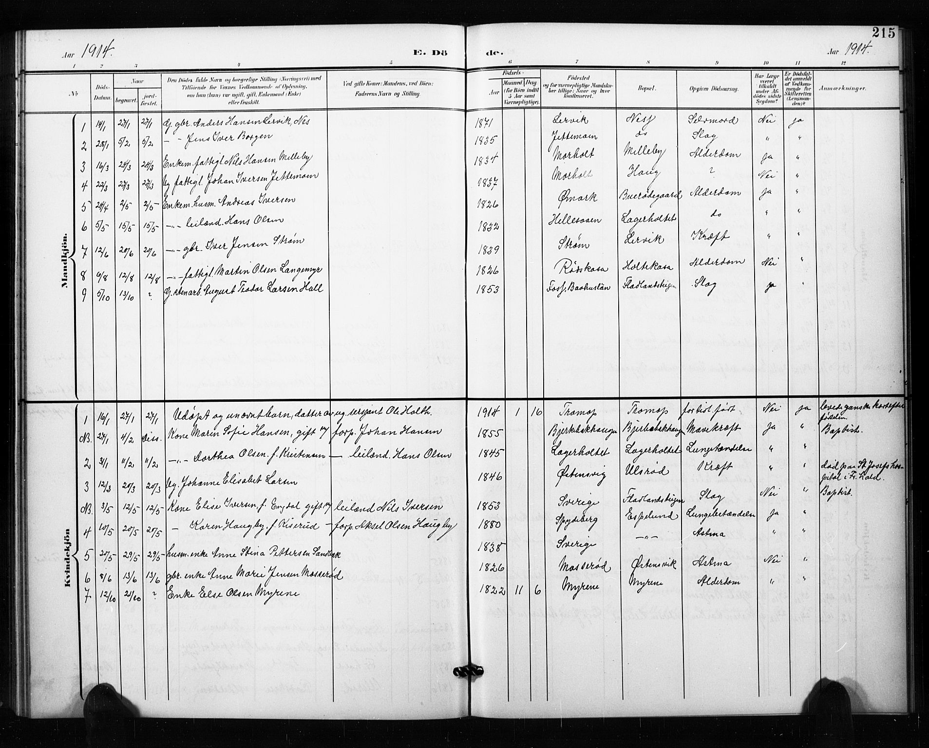 Aremark prestekontor Kirkebøker, AV/SAO-A-10899/G/Ga/L0002: Parish register (copy) no. I 2, 1901-1928, p. 215