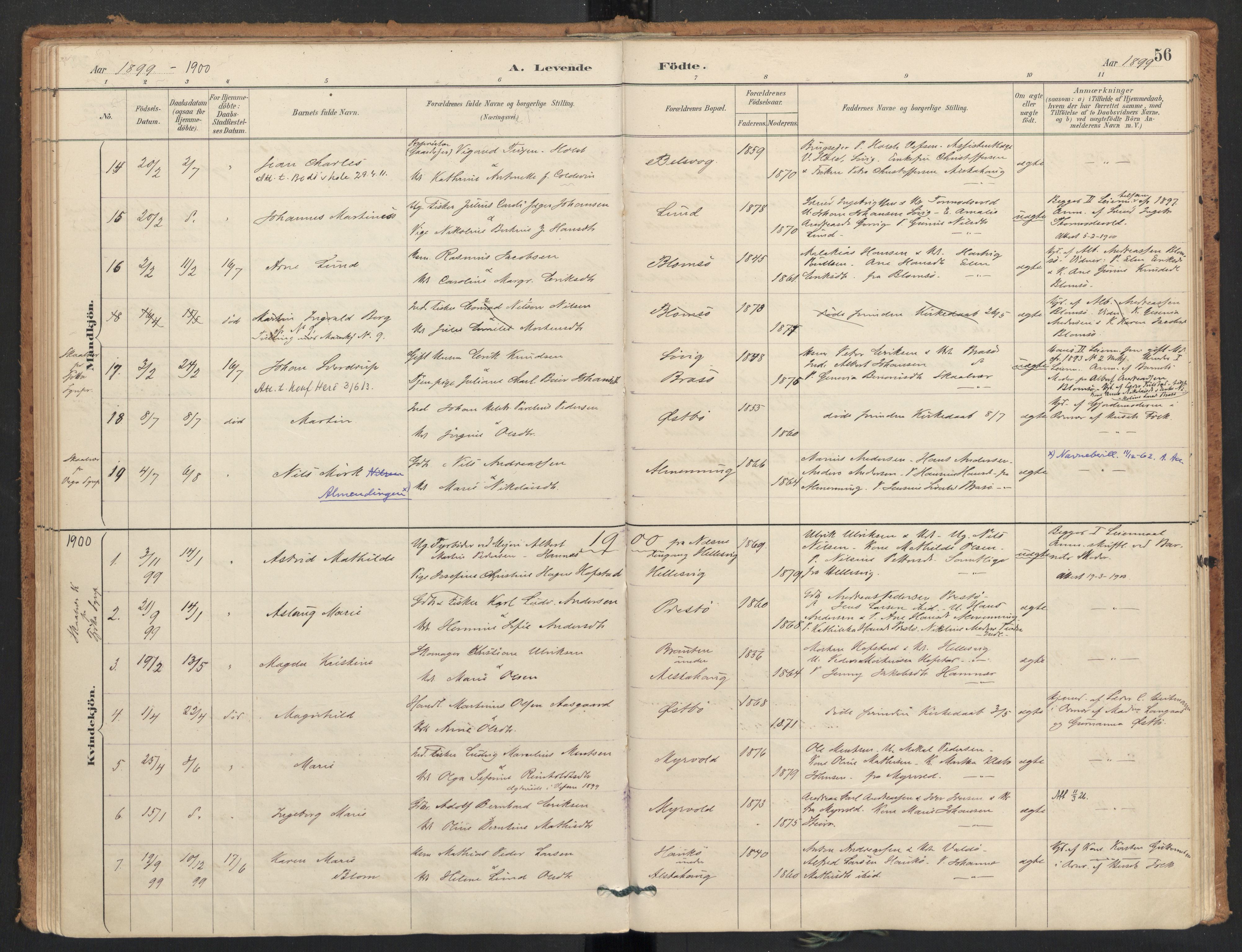 Ministerialprotokoller, klokkerbøker og fødselsregistre - Nordland, SAT/A-1459/830/L0453: Parish register (official) no. 830A17, 1886-1911, p. 56