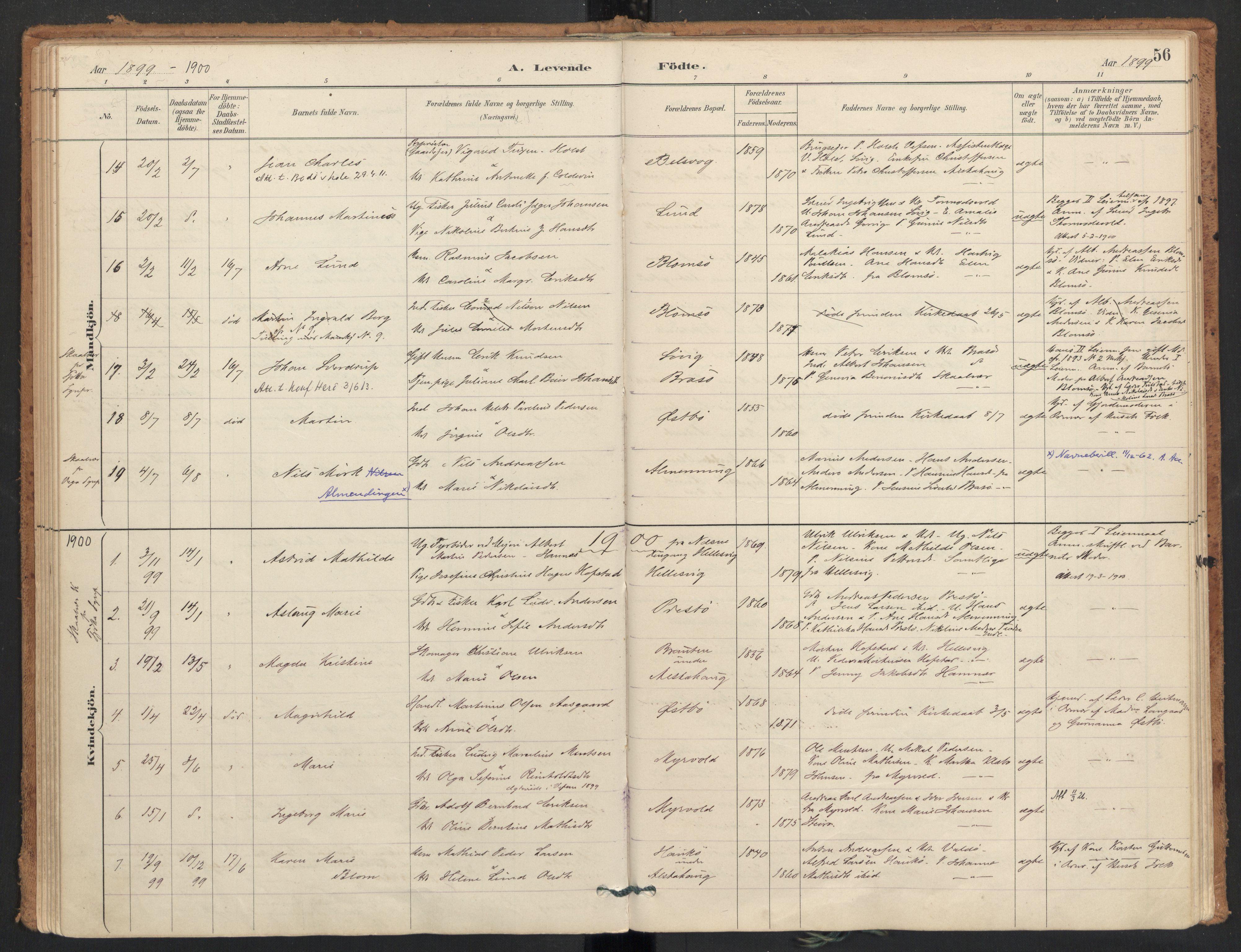 Ministerialprotokoller, klokkerbøker og fødselsregistre - Nordland, AV/SAT-A-1459/830/L0453: Parish register (official) no. 830A17, 1886-1911, p. 56