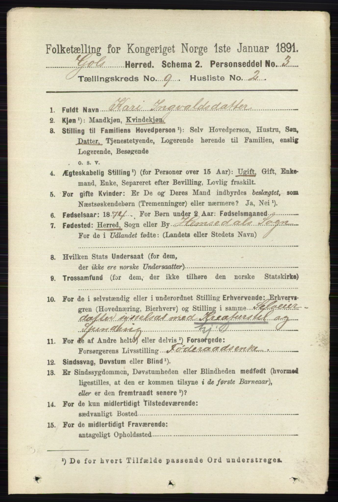 RA, 1891 census for 0617 Gol og Hemsedal, 1891, p. 3406