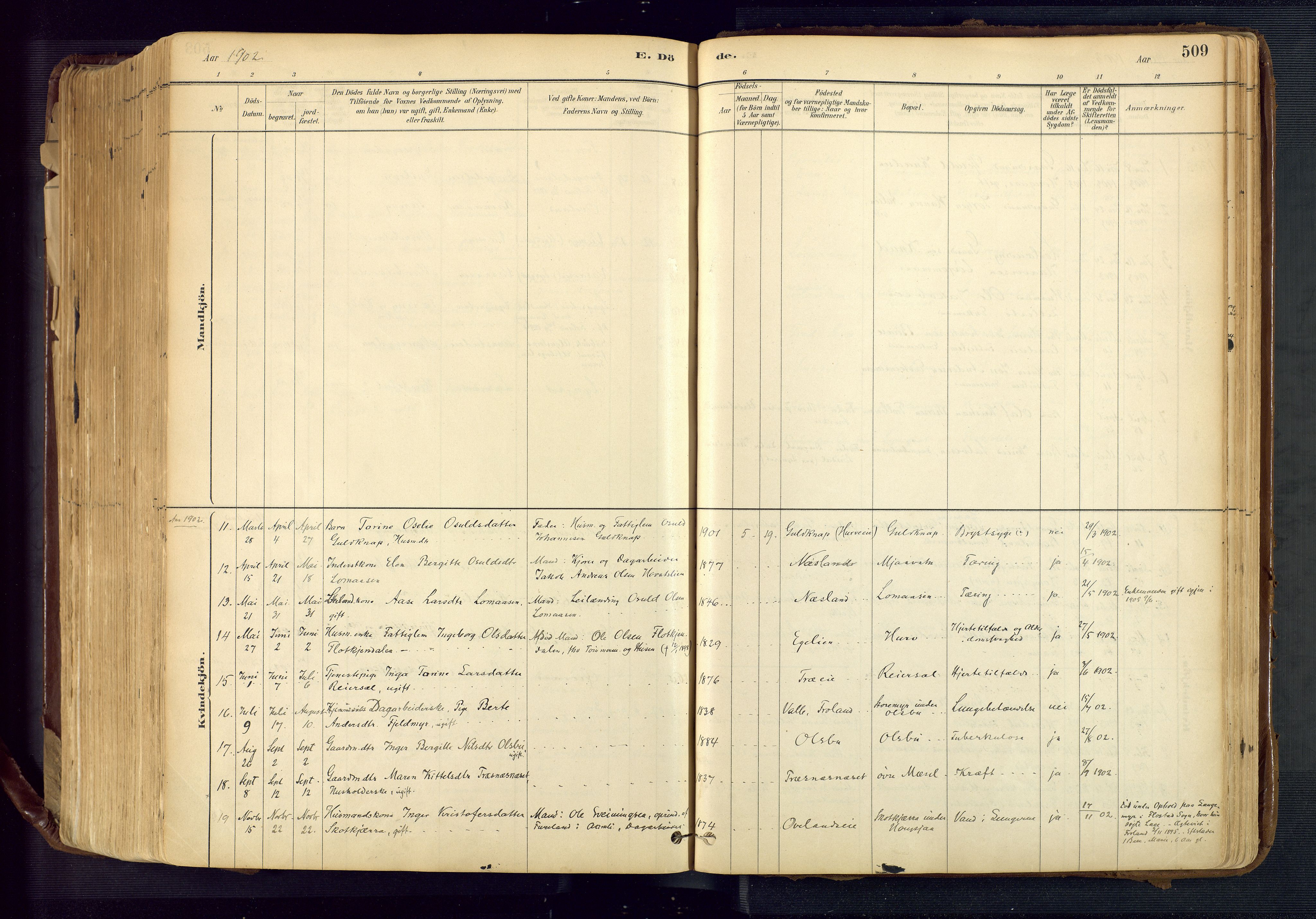 Froland sokneprestkontor, SAK/1111-0013/F/Fa/L0005: Parish register (official) no. A 5, 1882-1921, p. 509